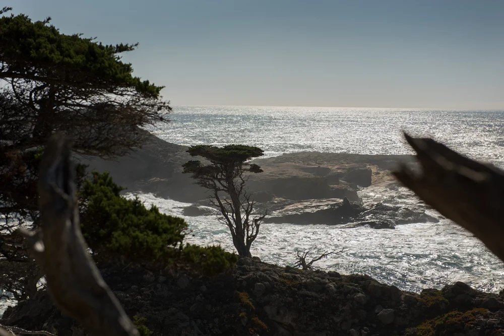 Big Sur 2