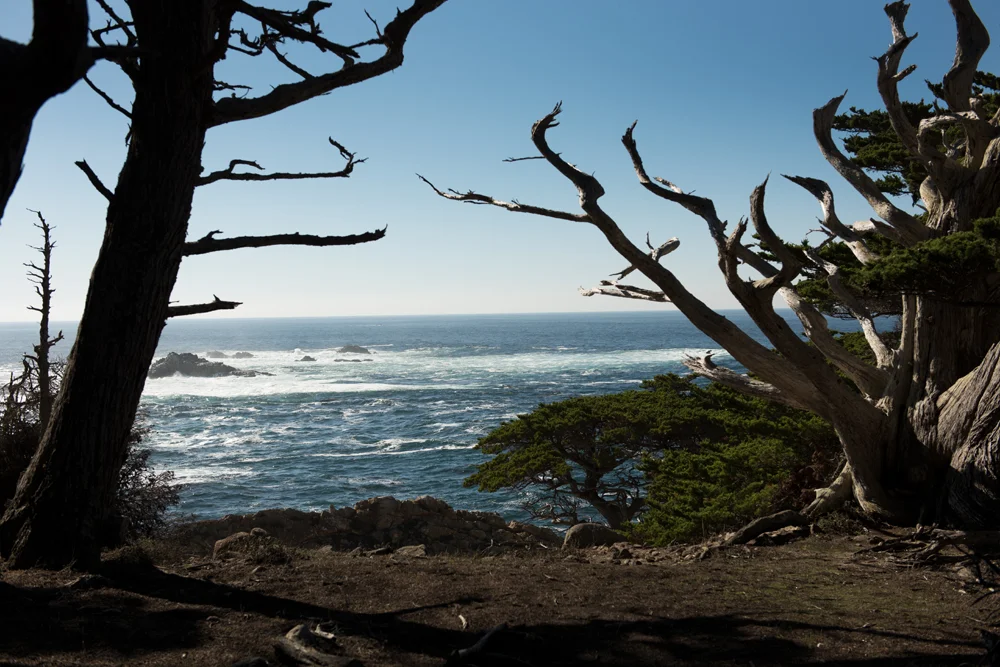 Big Sur 3