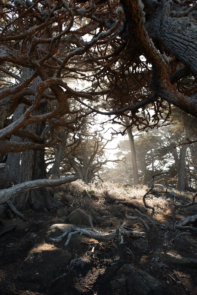 Big Sur 5