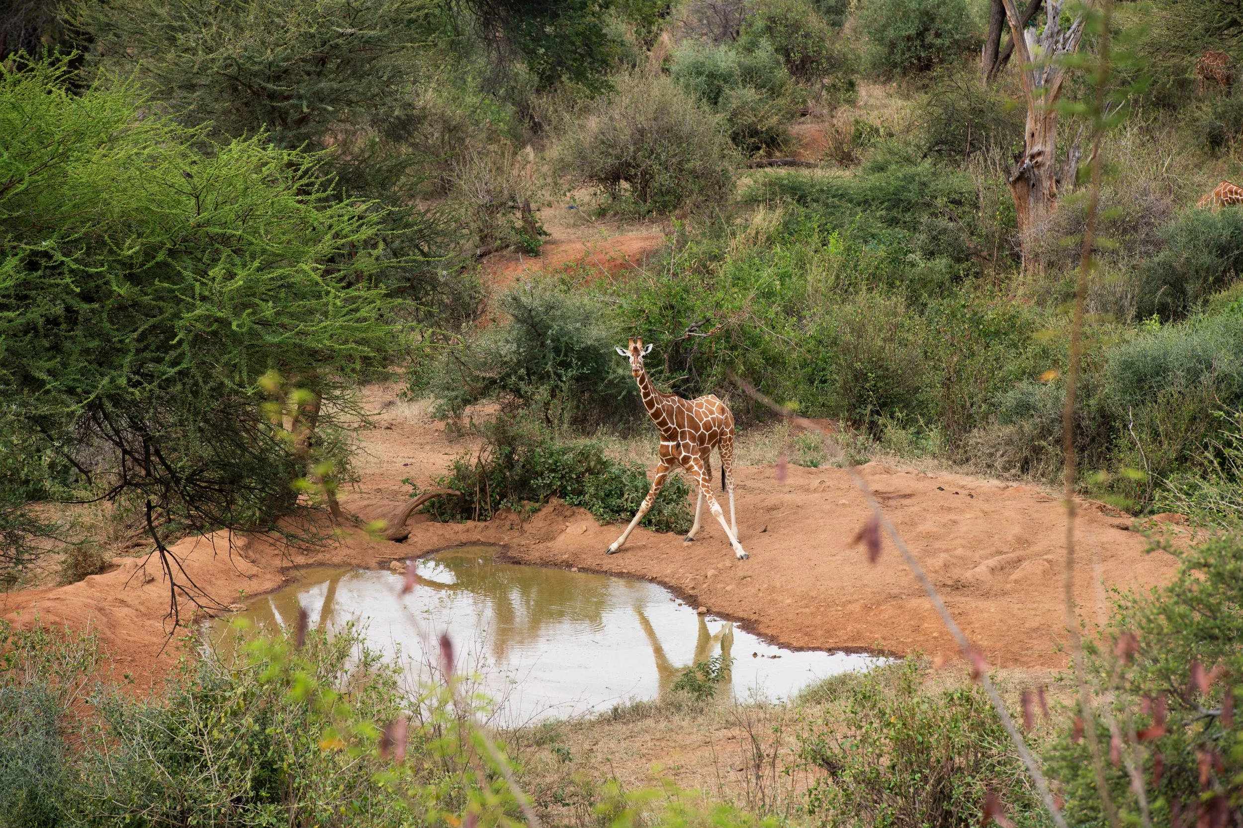 Sarara Camp_08.jpg