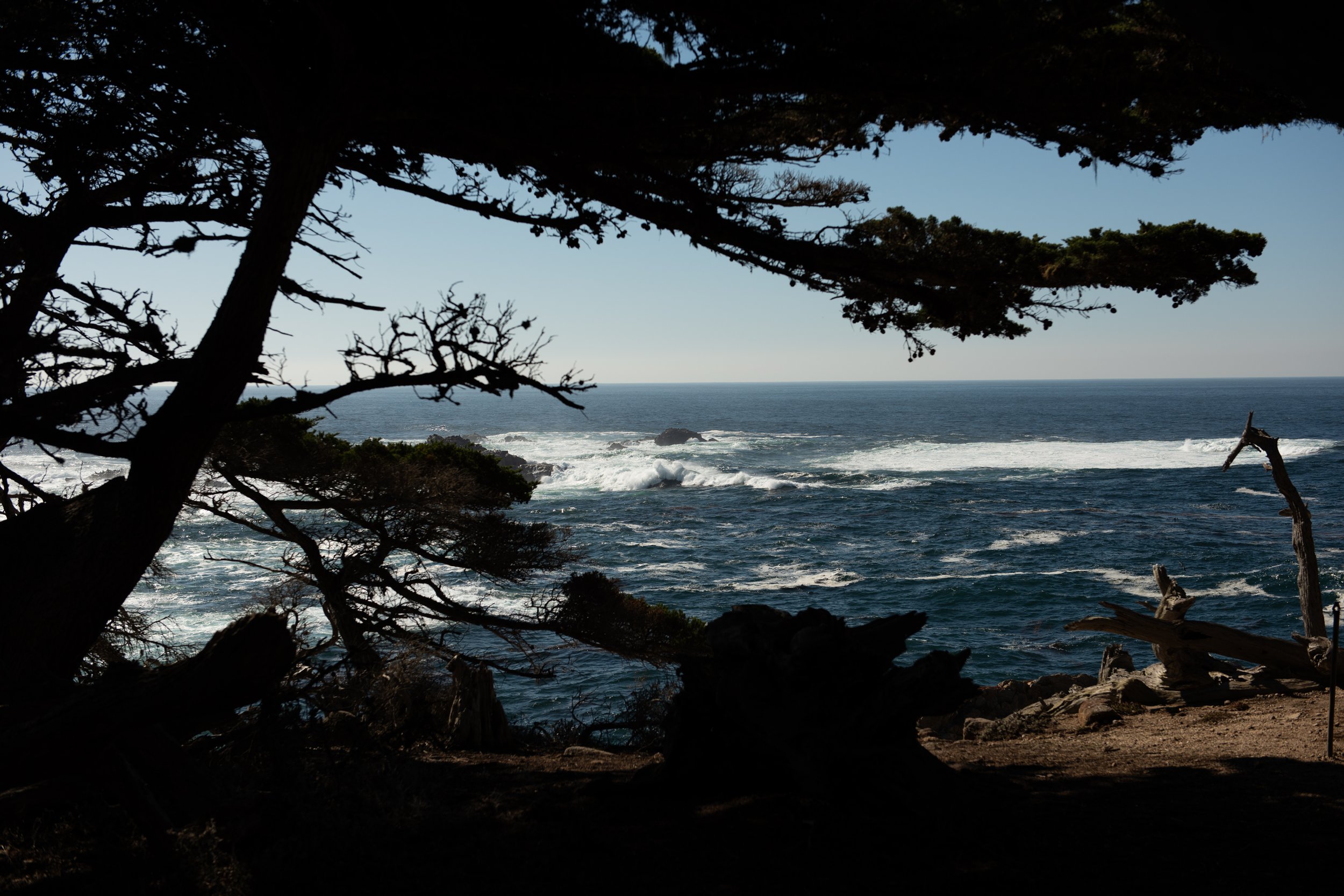 Carmel_02.jpg
