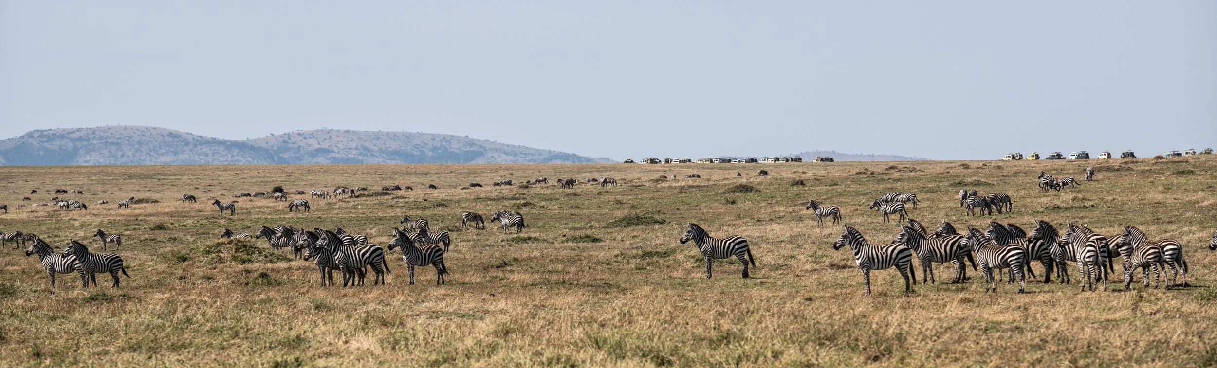 Mara Bushtops_20.jpg