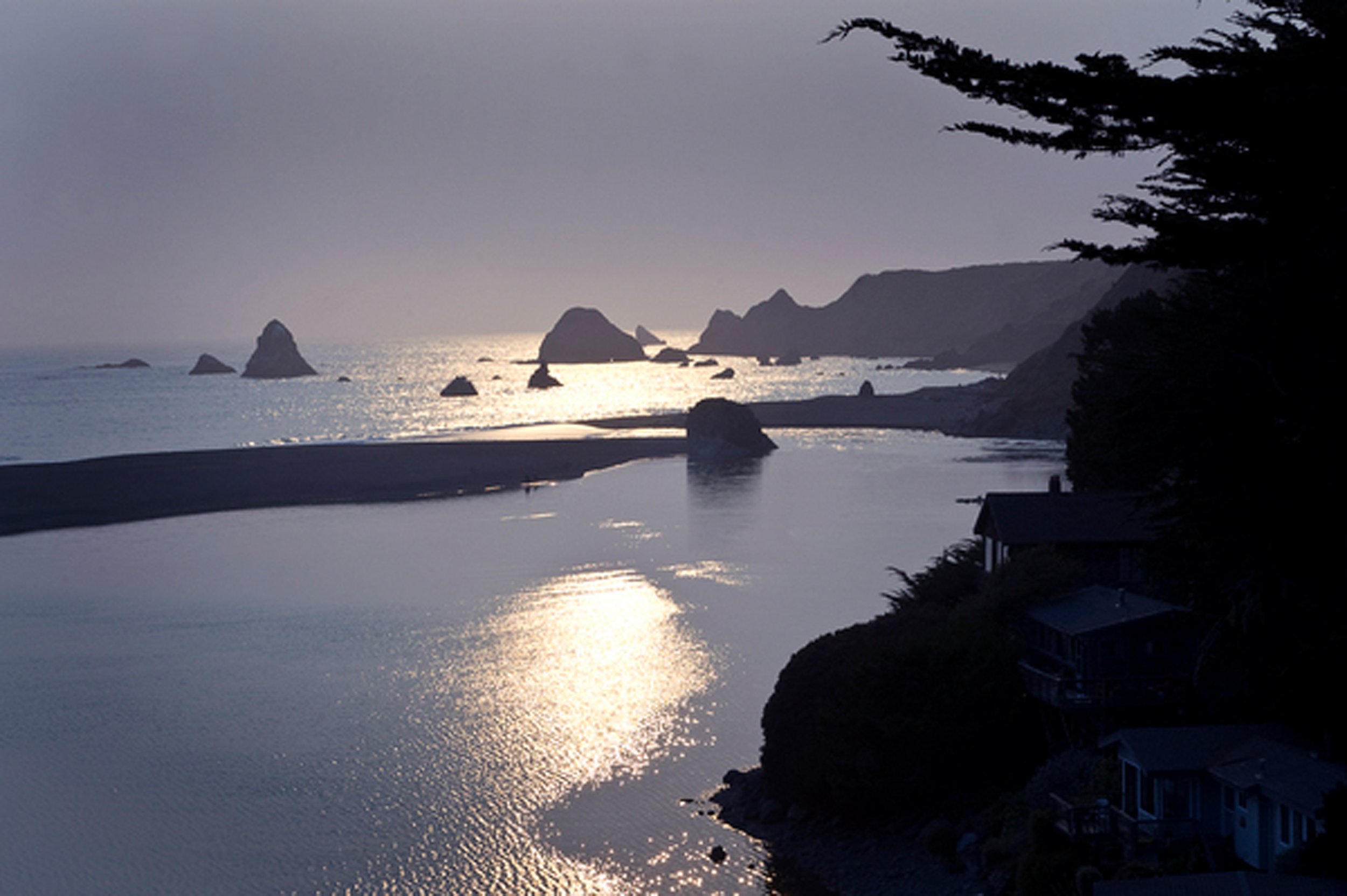 Central California_01.jpg