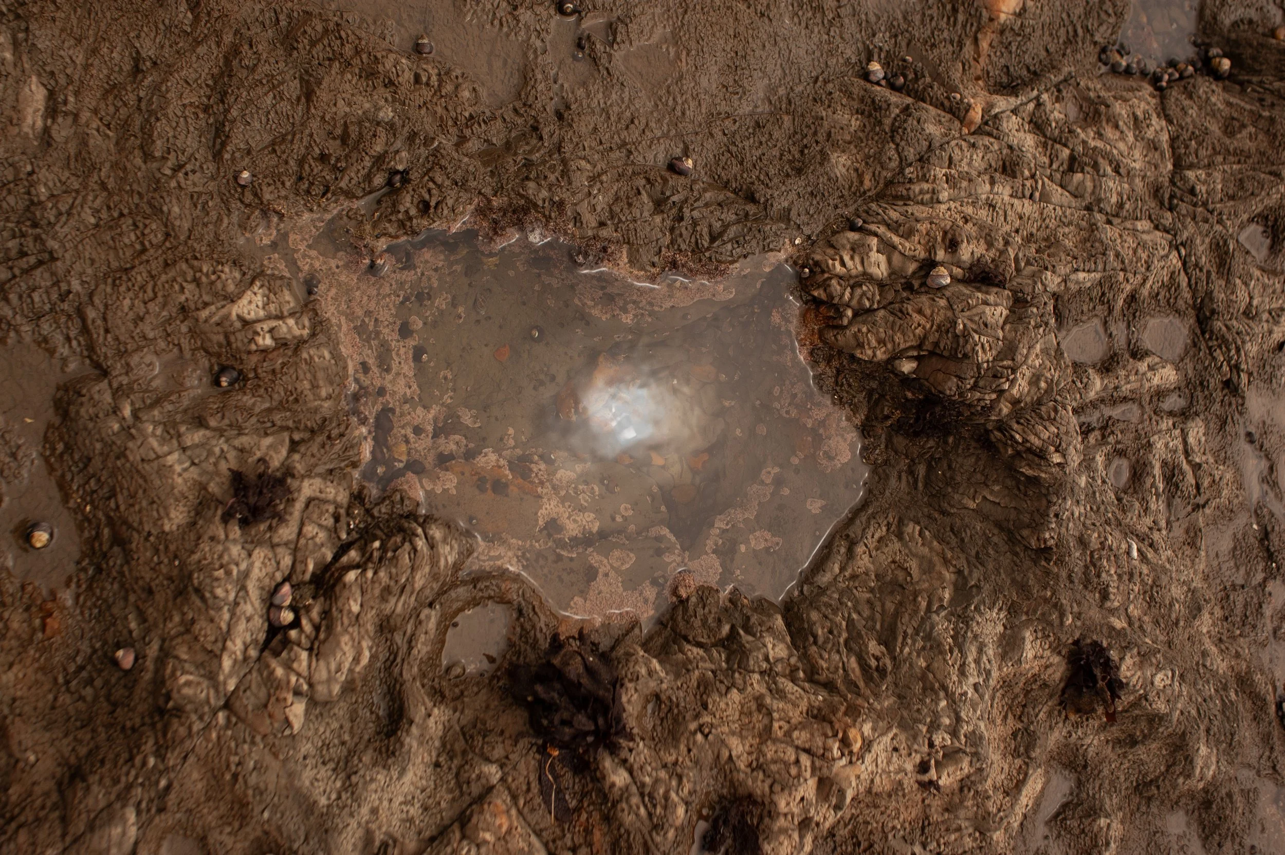 Central California_05.jpg