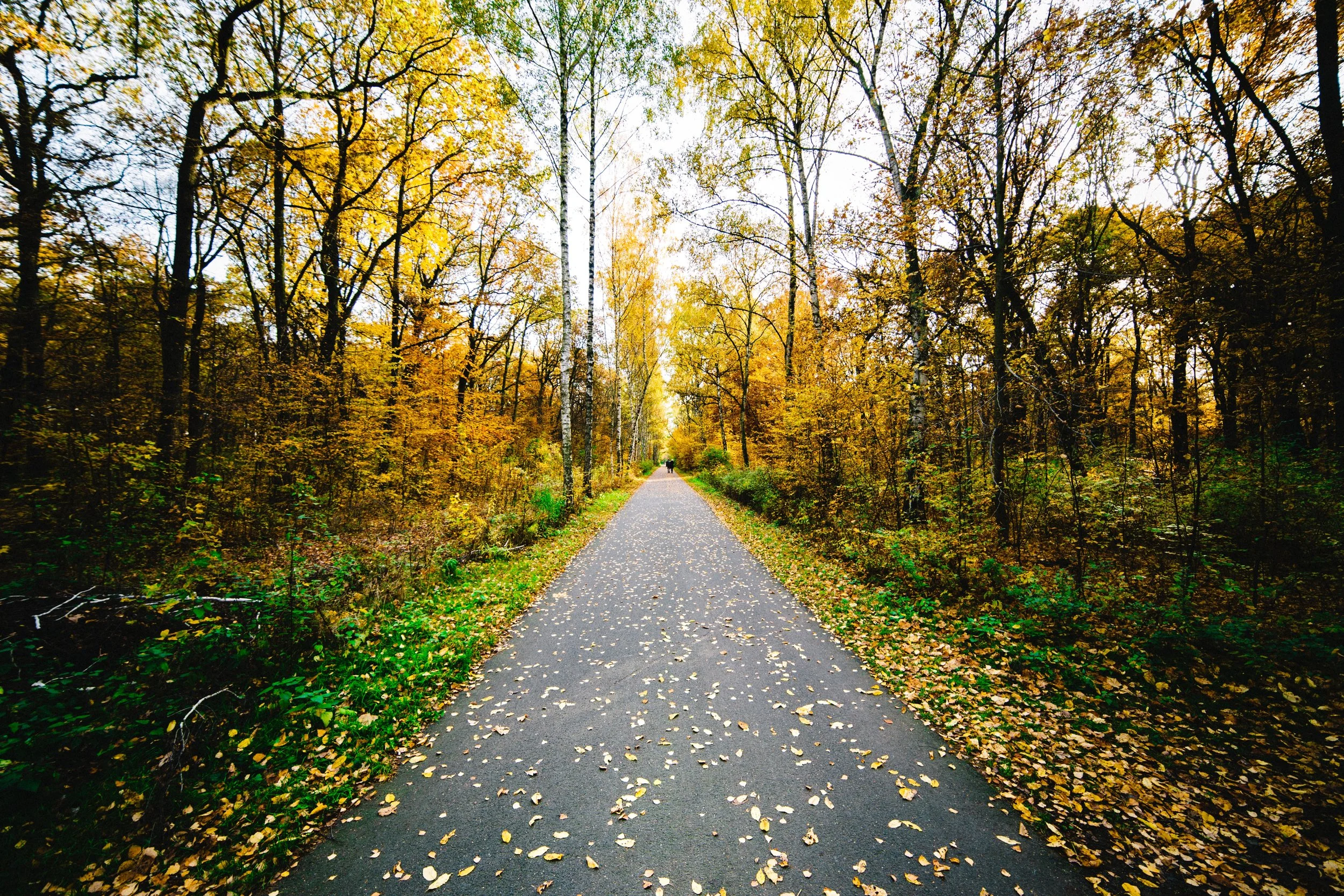 felix-kayser-43337-unsplash.jpg