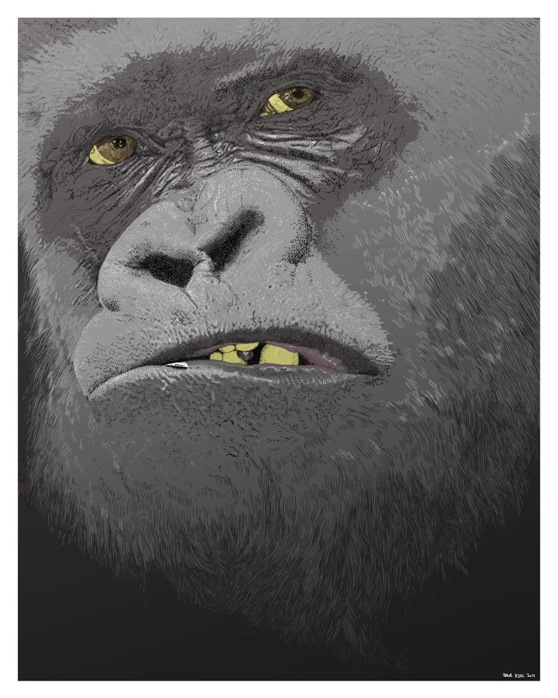 kong.jpg