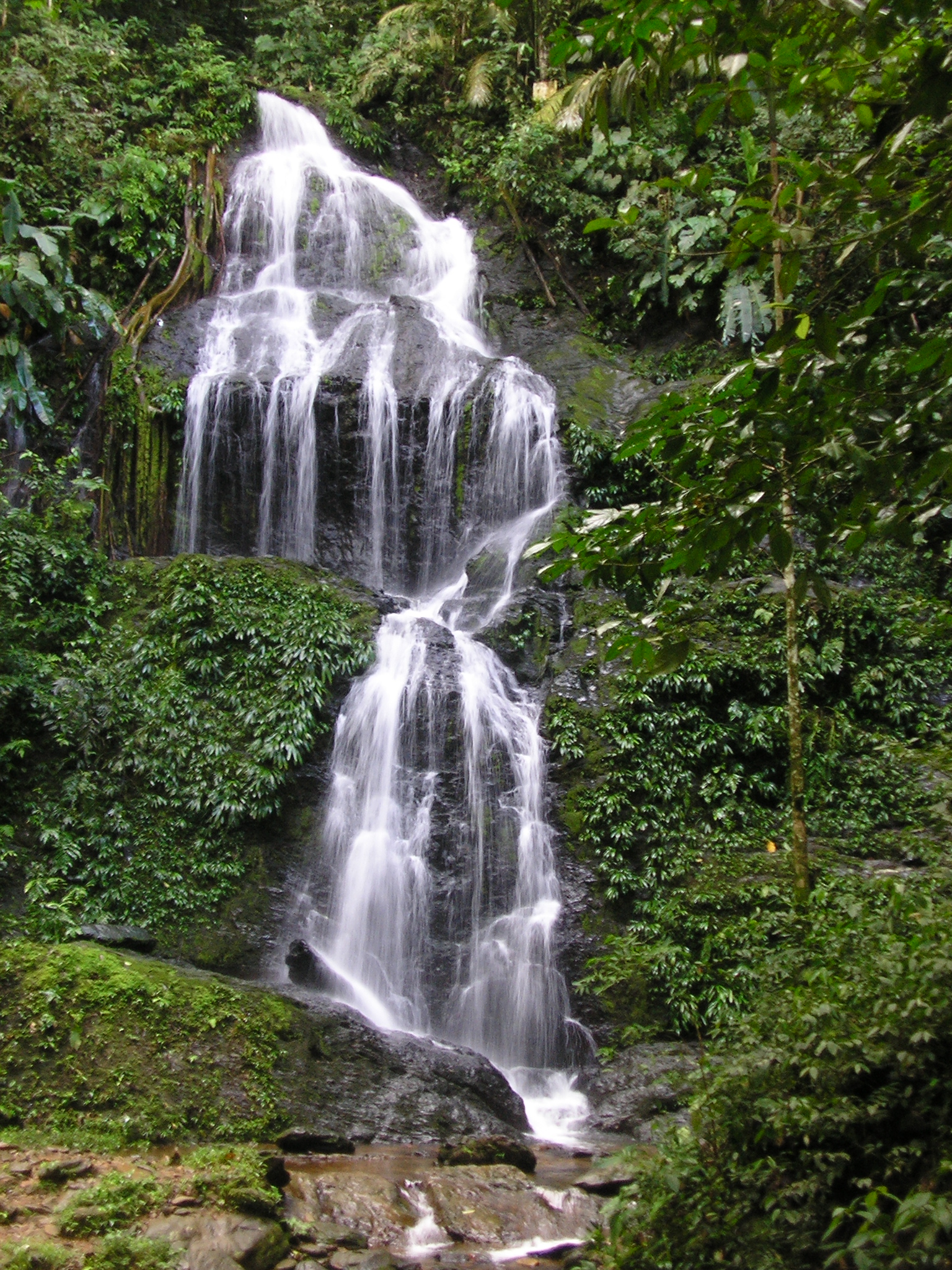 Brownsberg Falls(Suriname).JPG