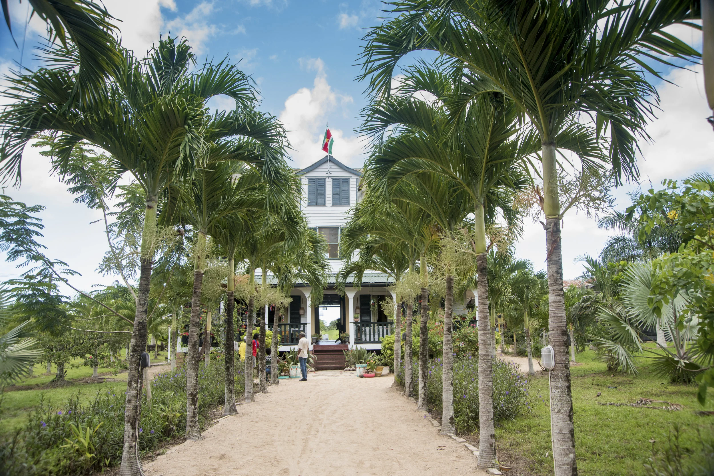 Commewijne River Cruise — Pristine Rainforest Tours