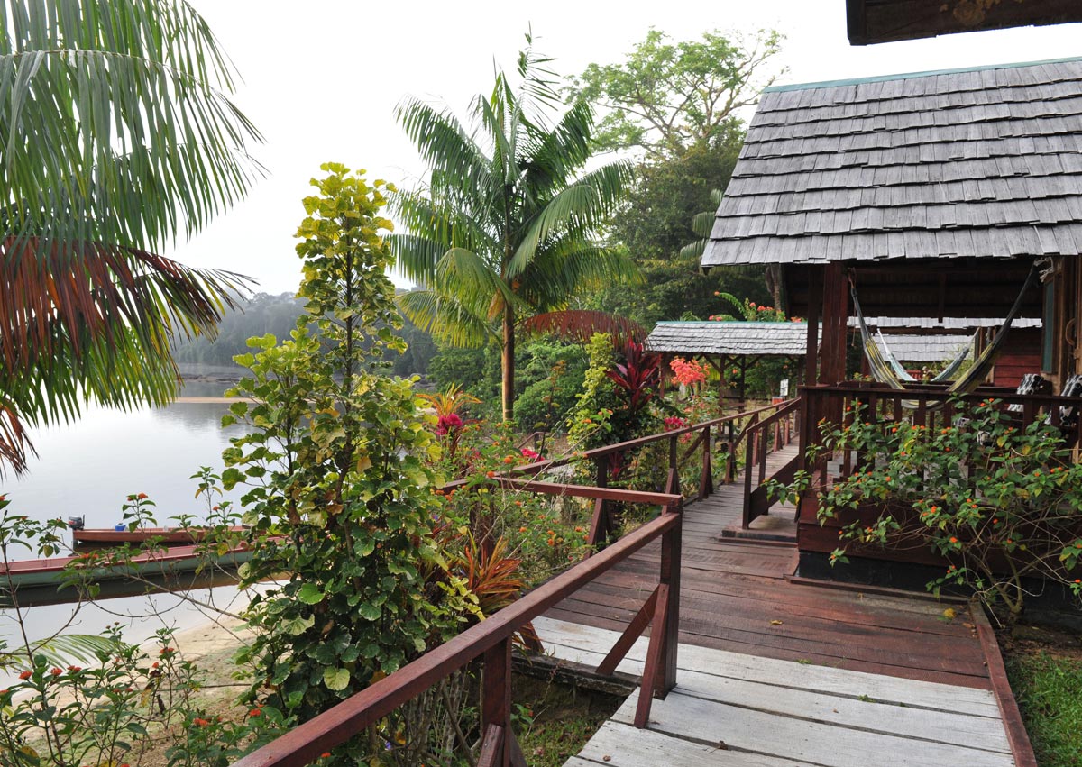 River Lodge (Suriname).jpg