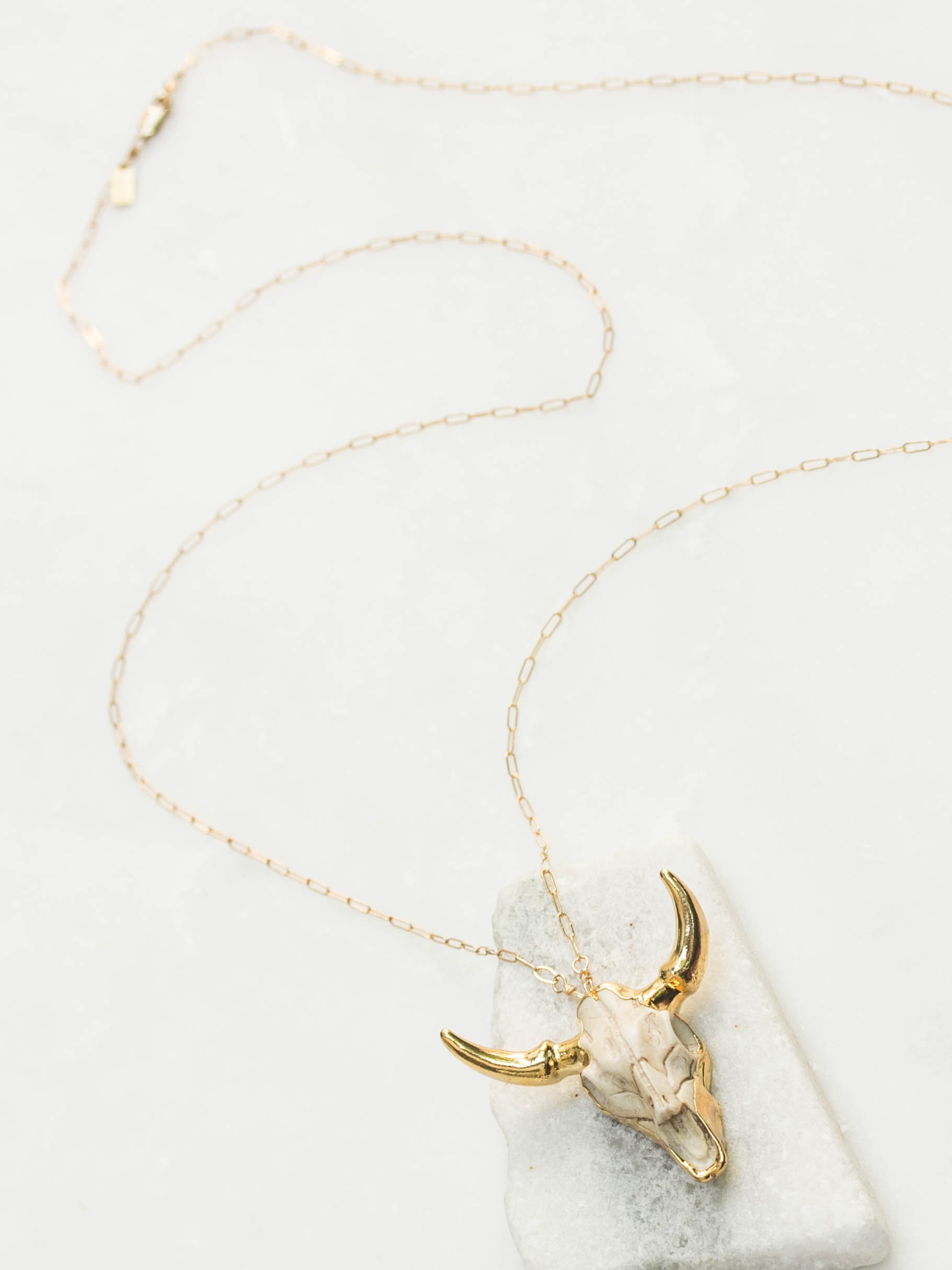Neutral resin longhorn necklace $110