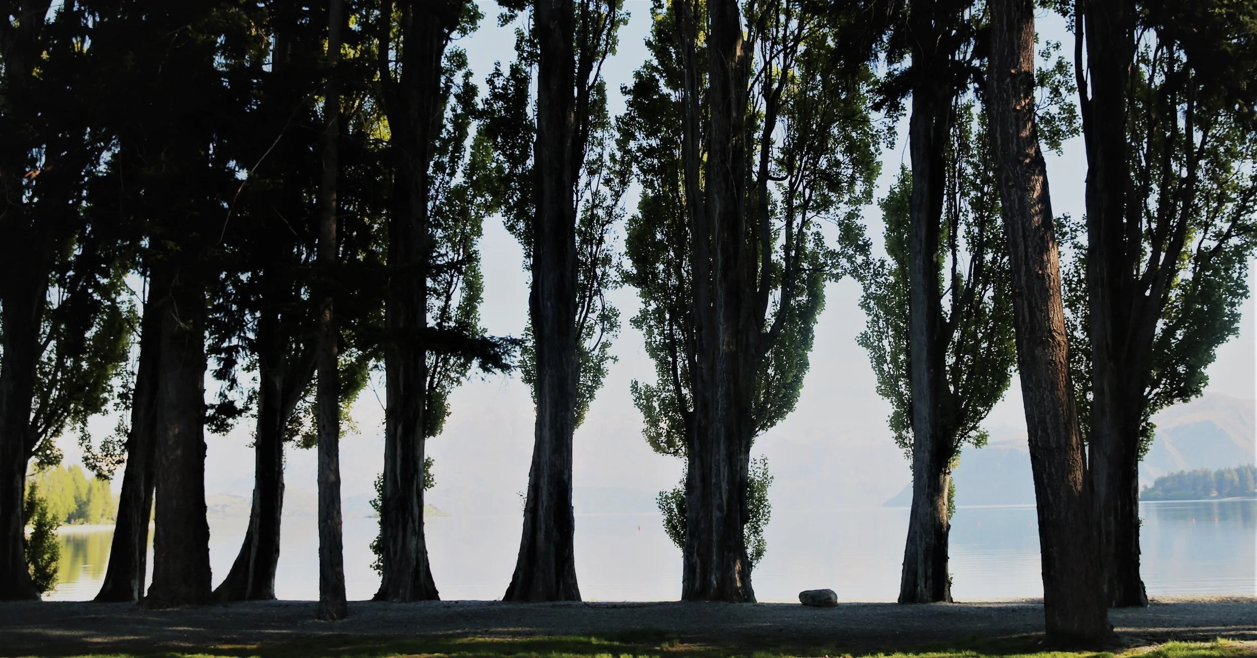 2014_10_22_0286 (2).JPG