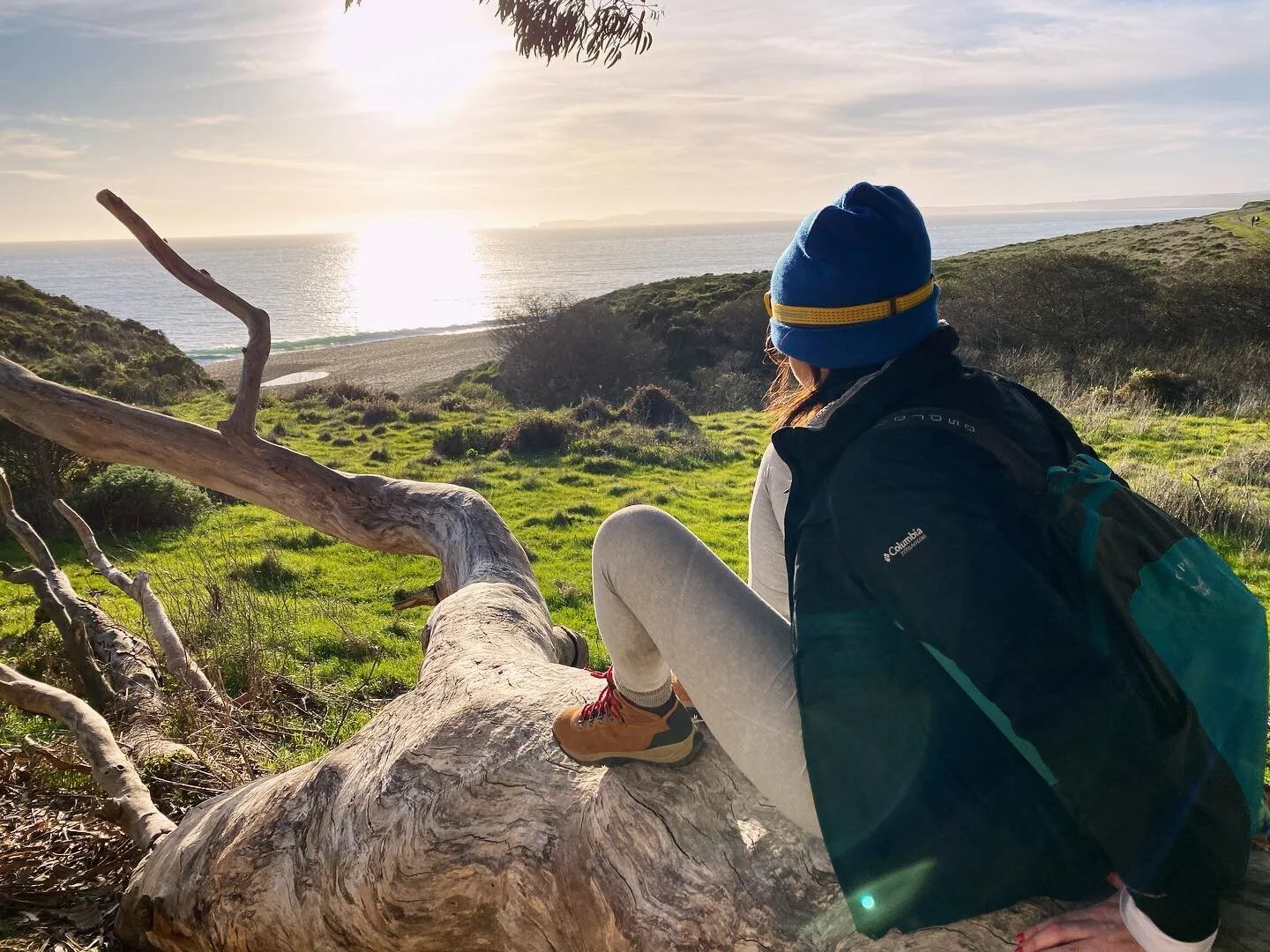 d i s c o n n e c t e d  for 48 hours and immediately made best friends with a tree 🌳