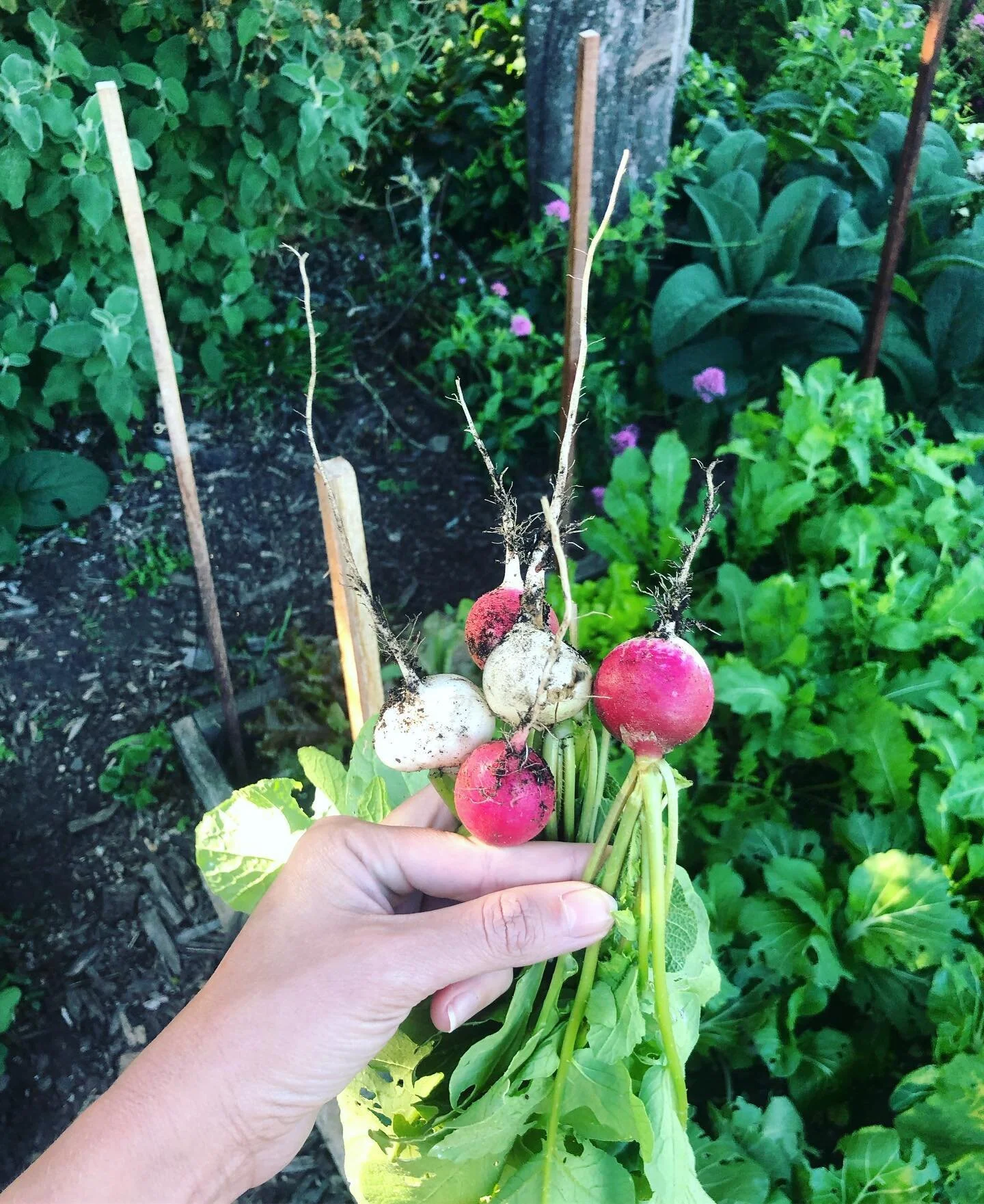 Move to the West coast ✅ Pick up old lady hobbies ✅ Reap the rewards ✅