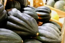 Squash, Winter - Ebony Acorn