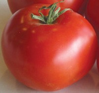 30 Siberian Early Tomato Seeds – Non-GMO? Good Through 2026