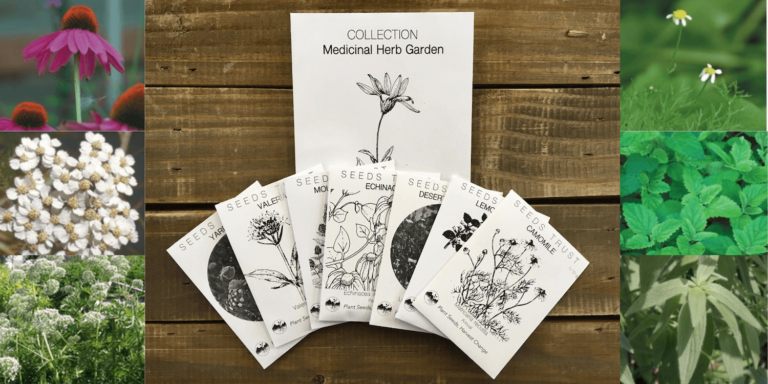 COLLECTION - Medicinal Herbs  Seeds Trust