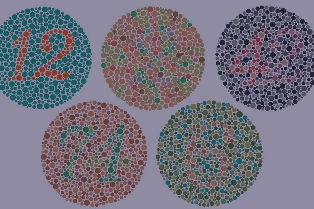 An empathy lesson from a colour-blind boy