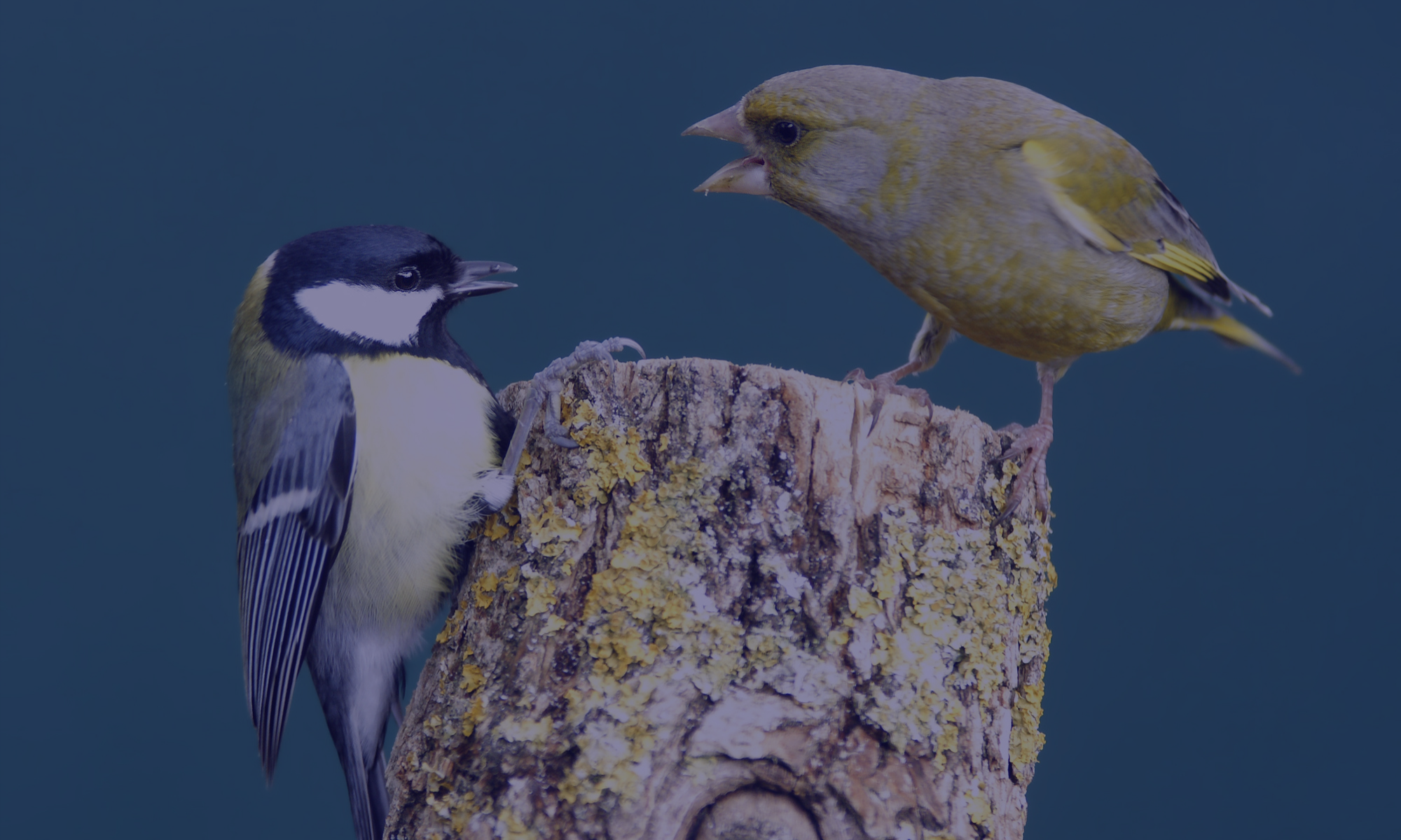 2 simple rules for extraordinary communication