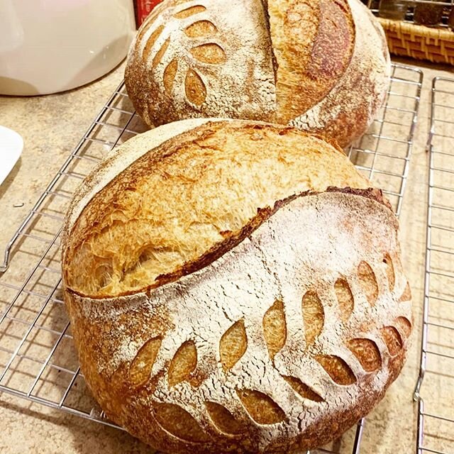 Before the pandemic, we were getting our bread for our toasts from @zeit_fuer_brot__. Now he's making a limited amount of these beautiful sourdough loaves for pickup on Wednesday. DM us for details and to preorder one before they are gone.