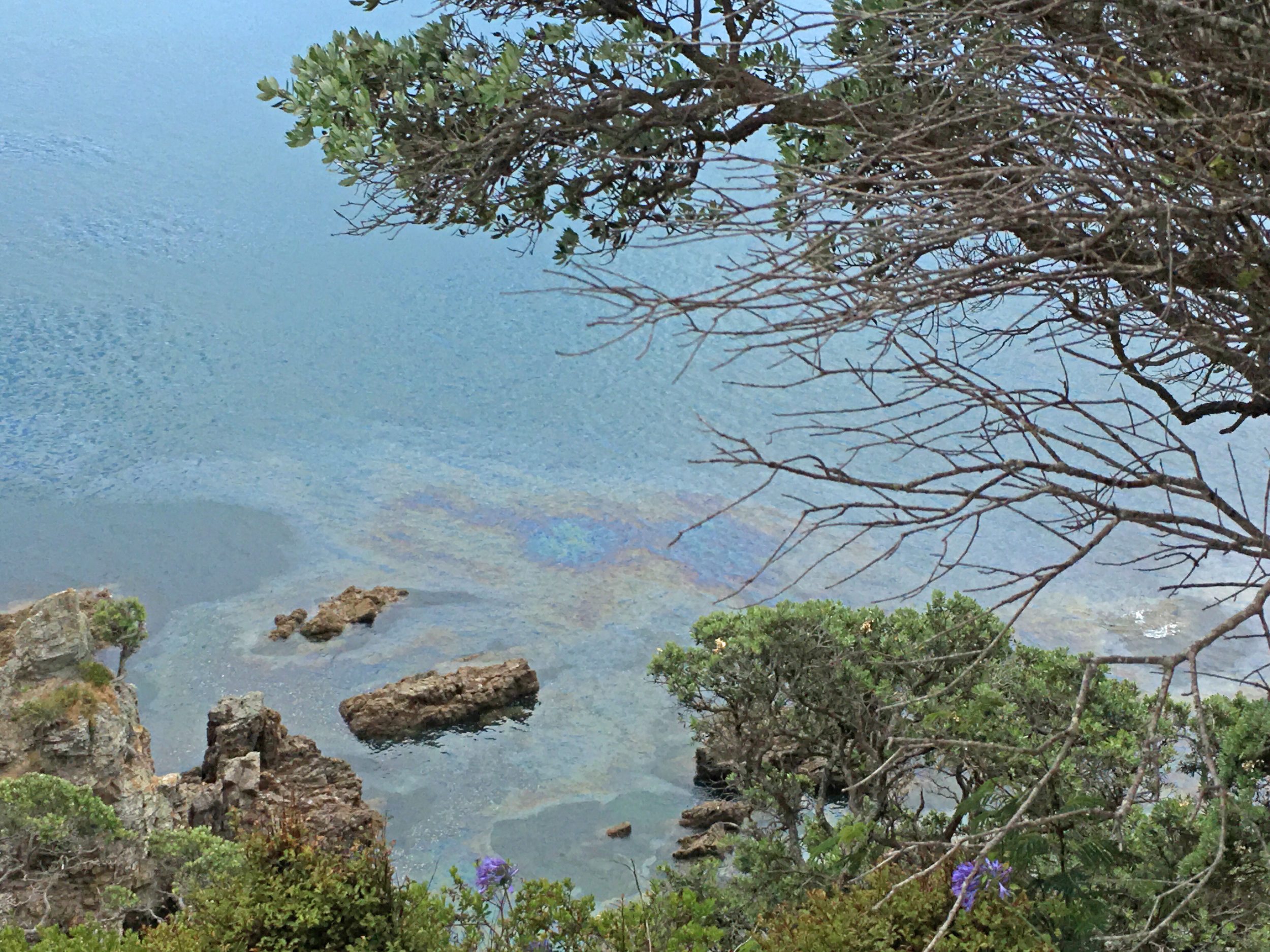 Oil Spill at Fishermans Rock