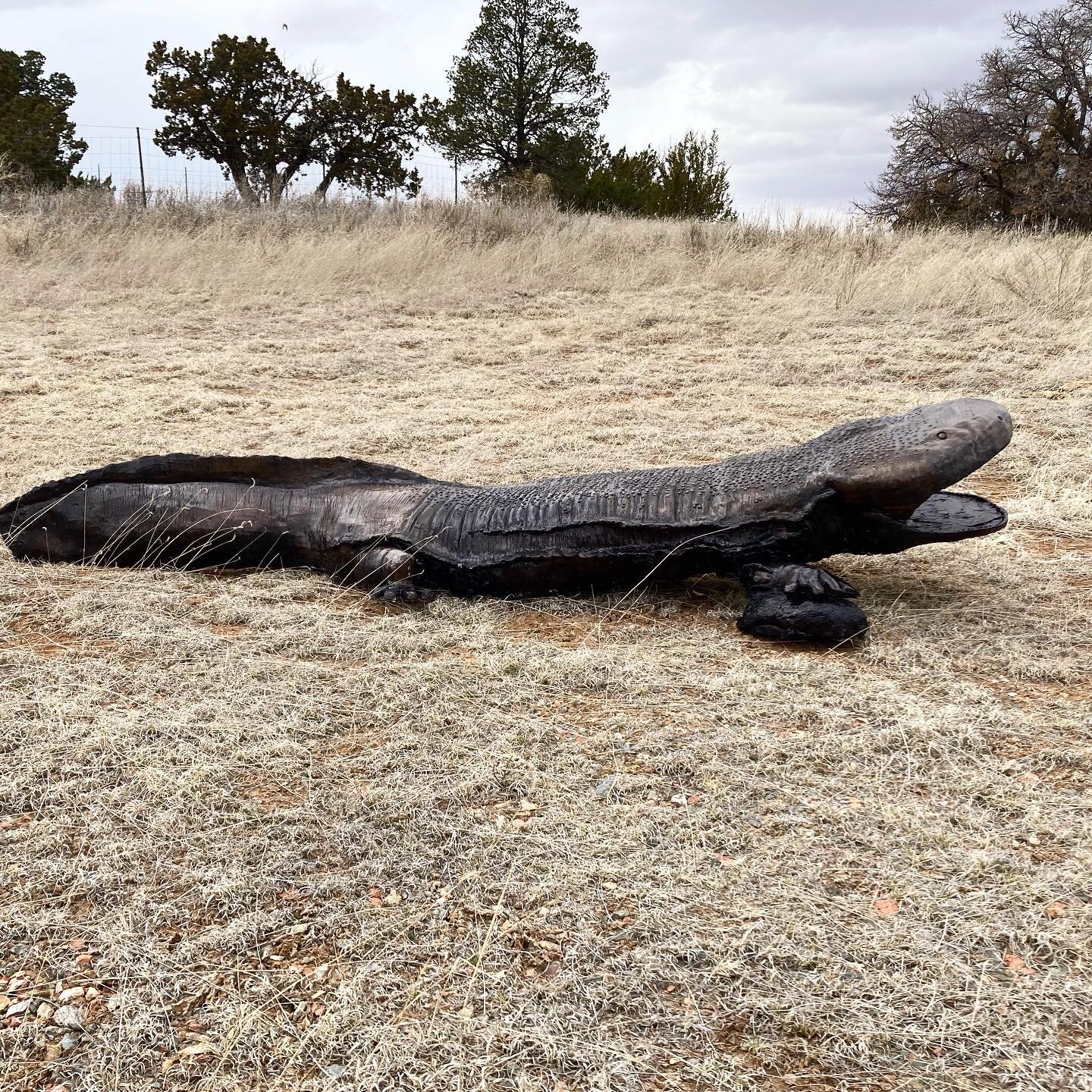 Some time ago, I undertook a monster of a project. Tomorrow it heads out to it&rsquo;s home in the permanent collection of the International Cryptozoology Museum! 
This is the Trinity Alps Giant Salmander of the Trinity Alps in California. It is one 