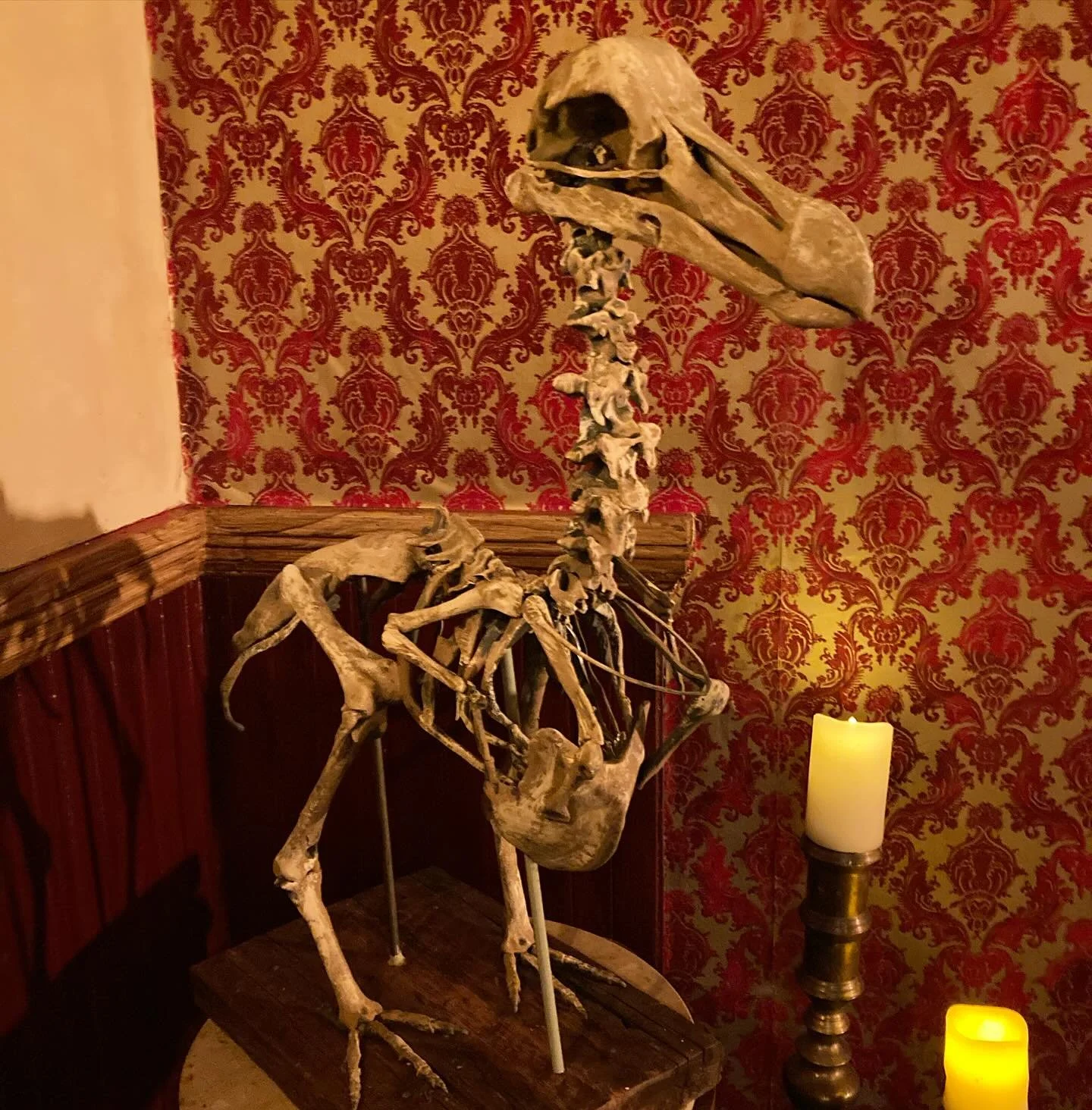 3D printing has long been a huge element of my process as an artist both in my independent work and my work in the film industry. This recent piece is a complete, and life sized, replica of a dodo bird skeleton that&rsquo;s too much fun not to share.