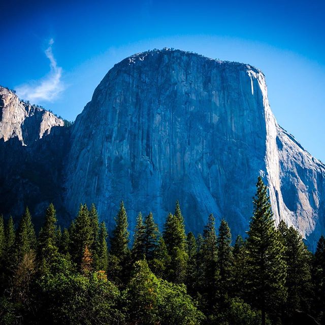 Getting back into the swing of writing, always inspired by this incredible cliff. #yosemite #elcapitan #nationalpark #roadtrip #audiodrama #fiction #podcast #roadtripradio