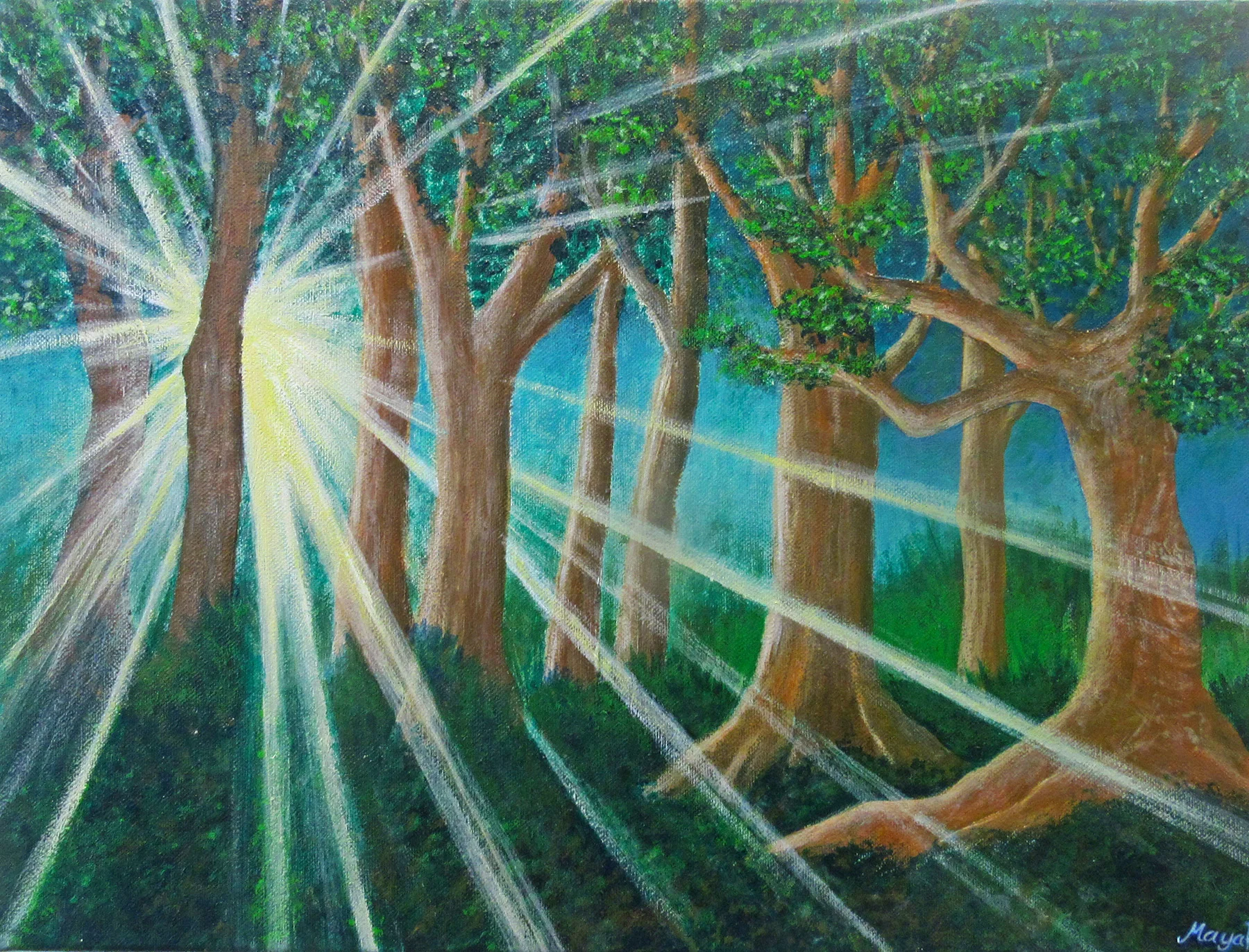 Magic Forest
