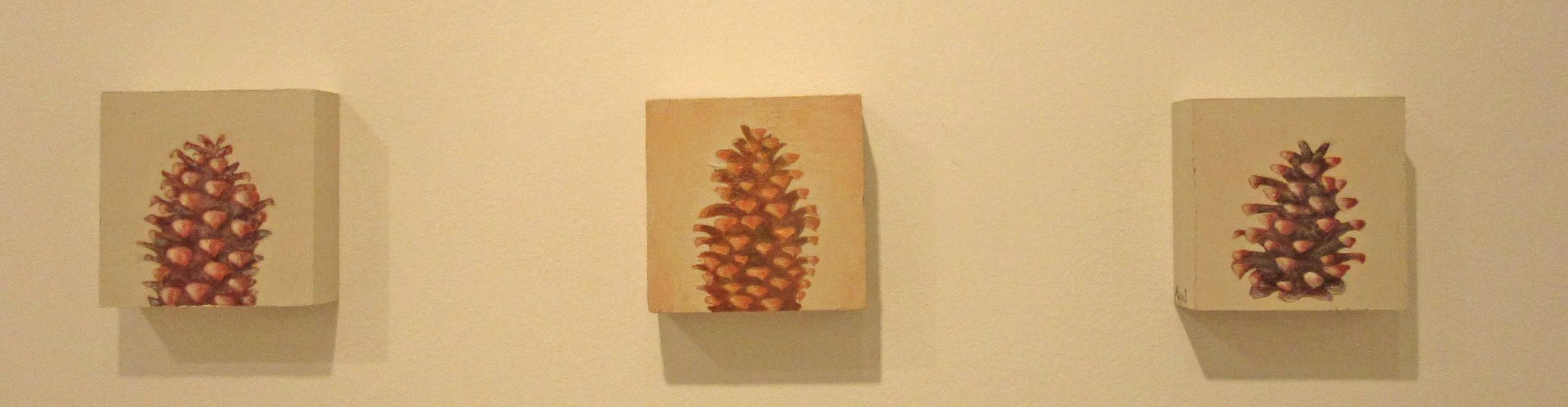 Pine Cones