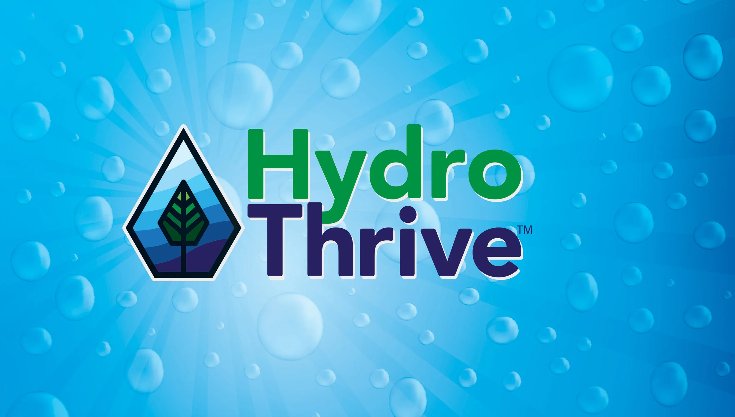 Hydro Thrive Branding + Brochure