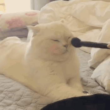You falling asleep during your trial cause let’s be honest, it feels good when someone touches your face.