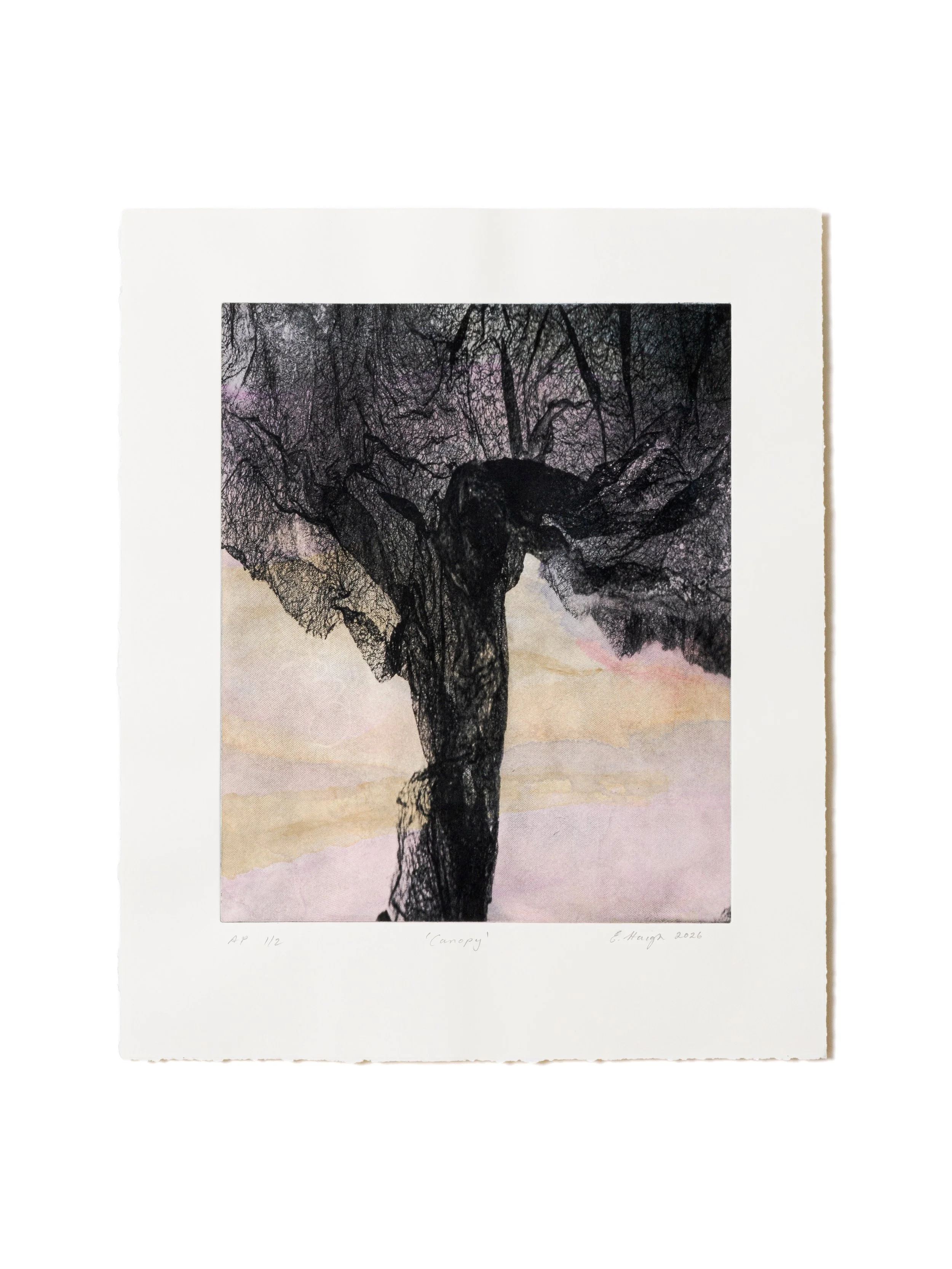 Elizabeth Haigh – Canopy