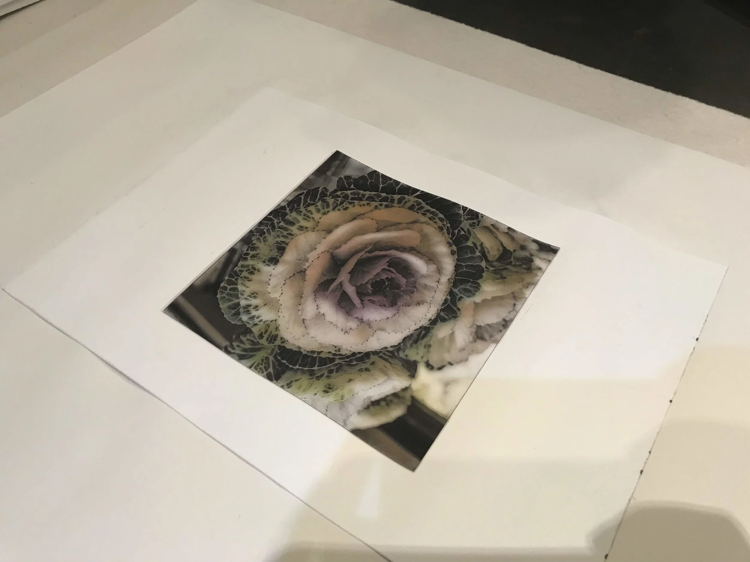 Photopolymer Photogravure with Silvi Glattauer (CANCELLED)