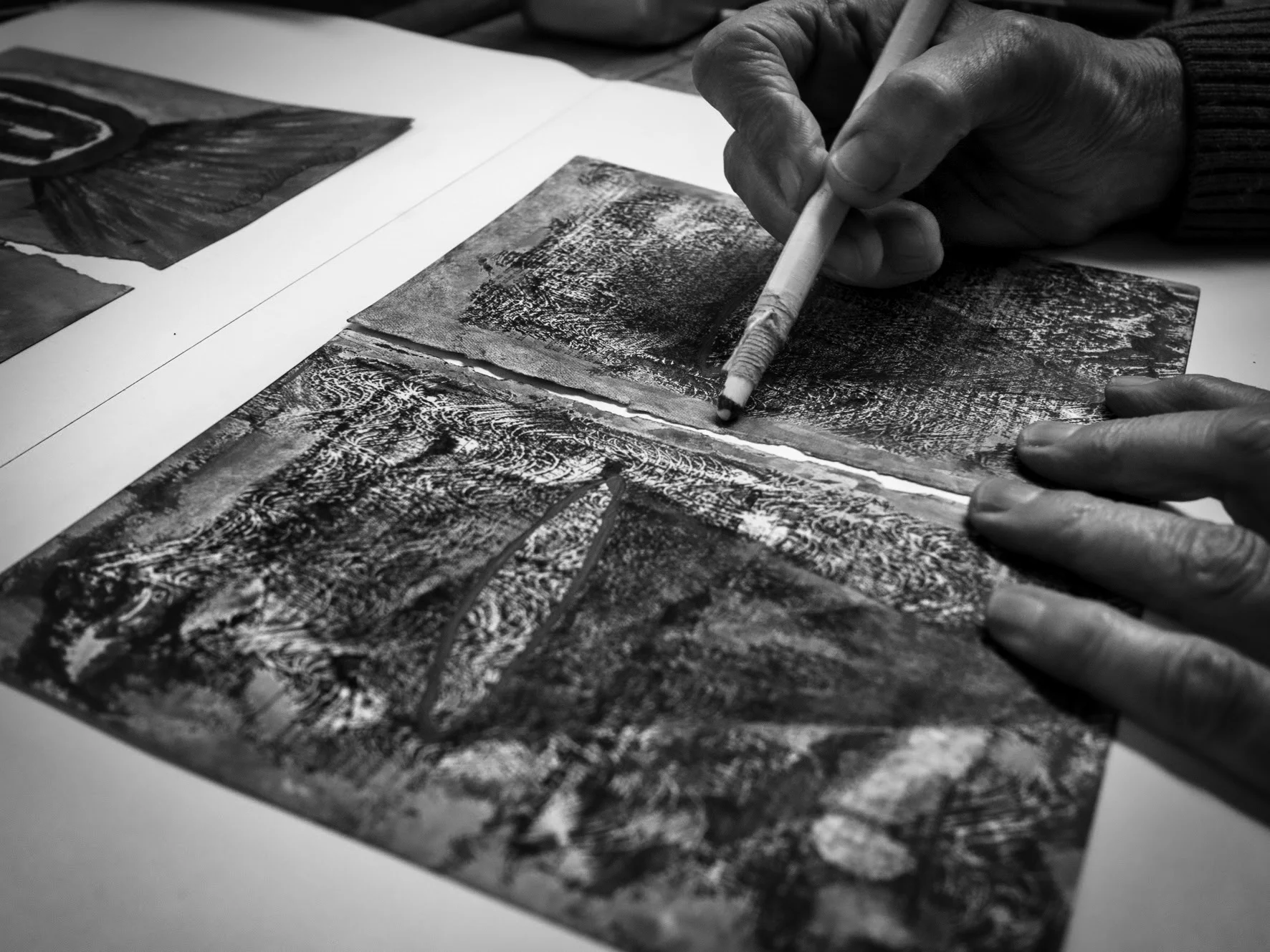 tess working detail nb.jpeg