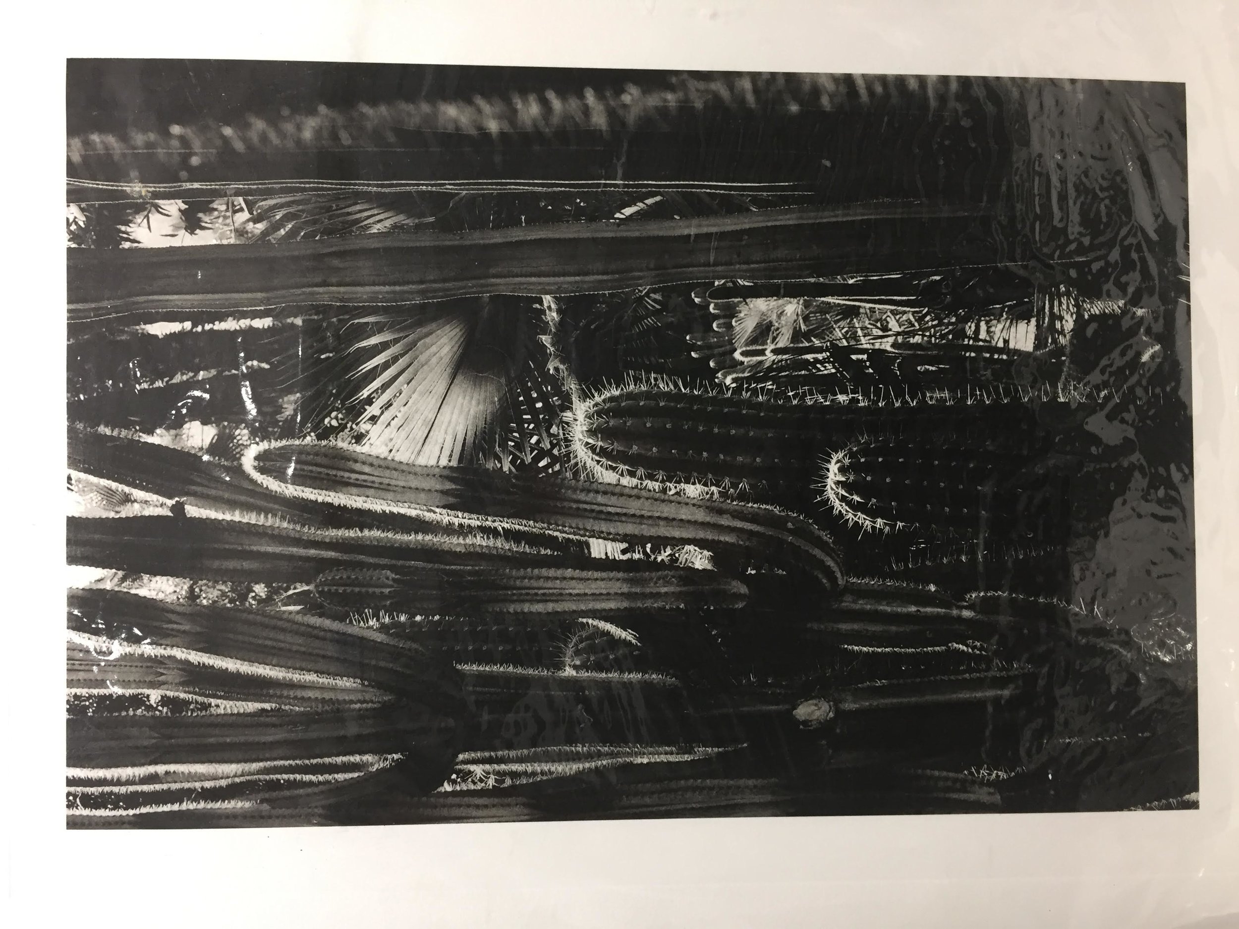 Photogravure proof