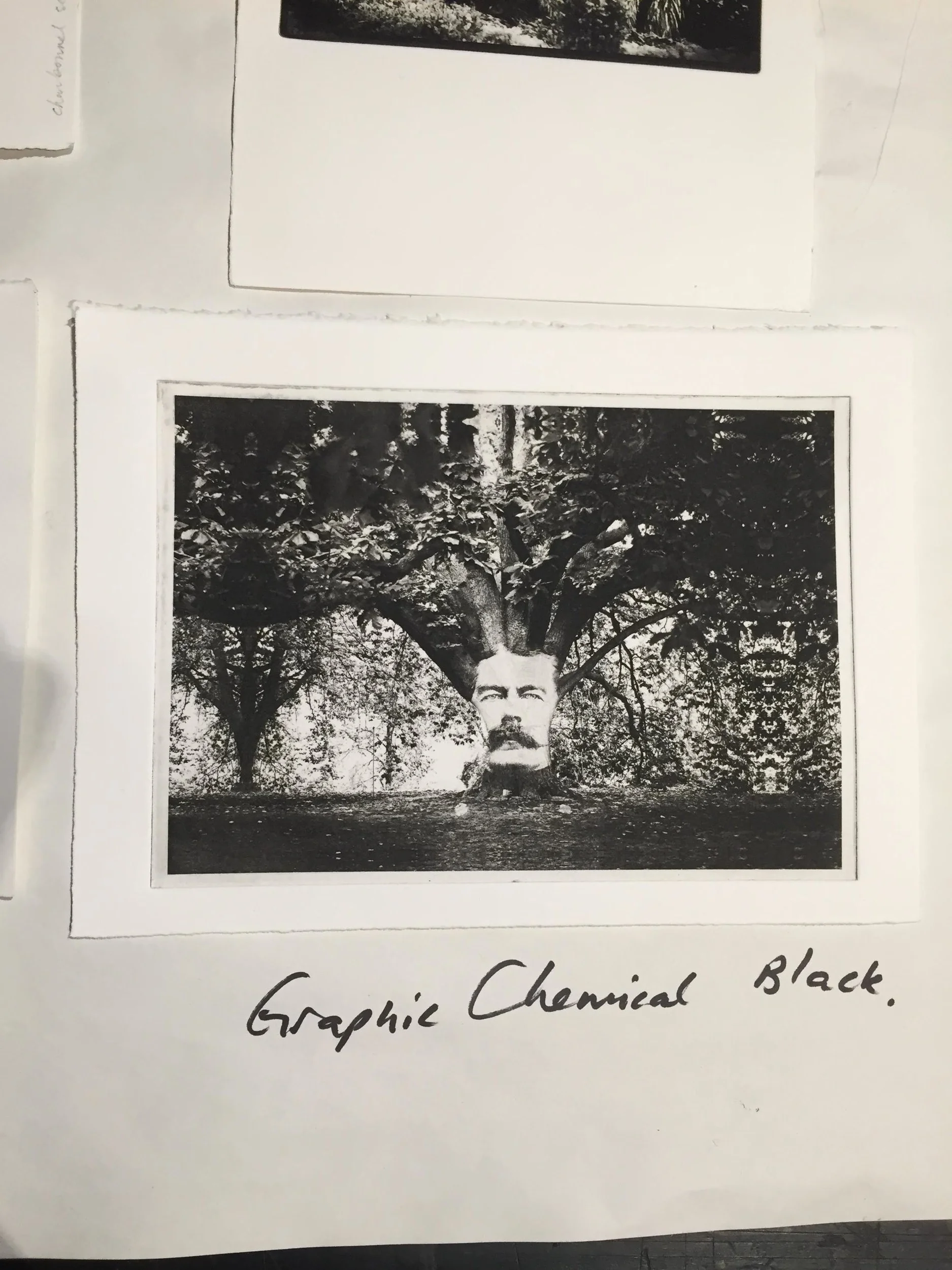 Photogravure proof