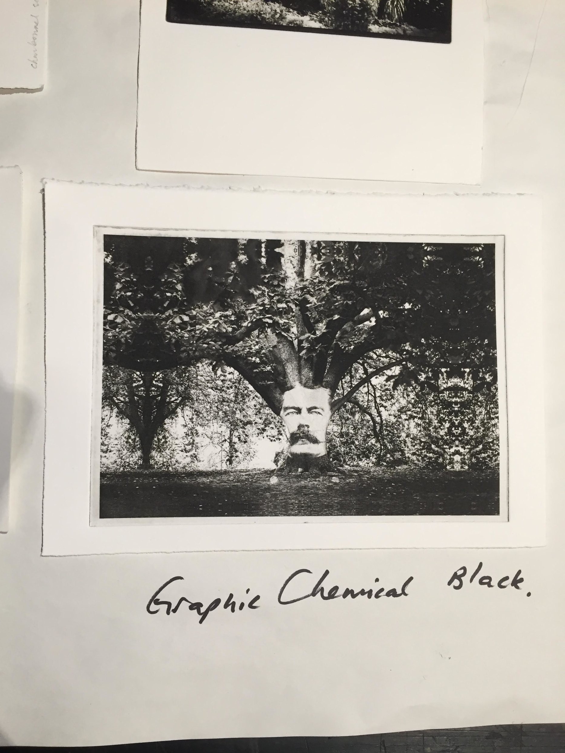 Photogravure proof