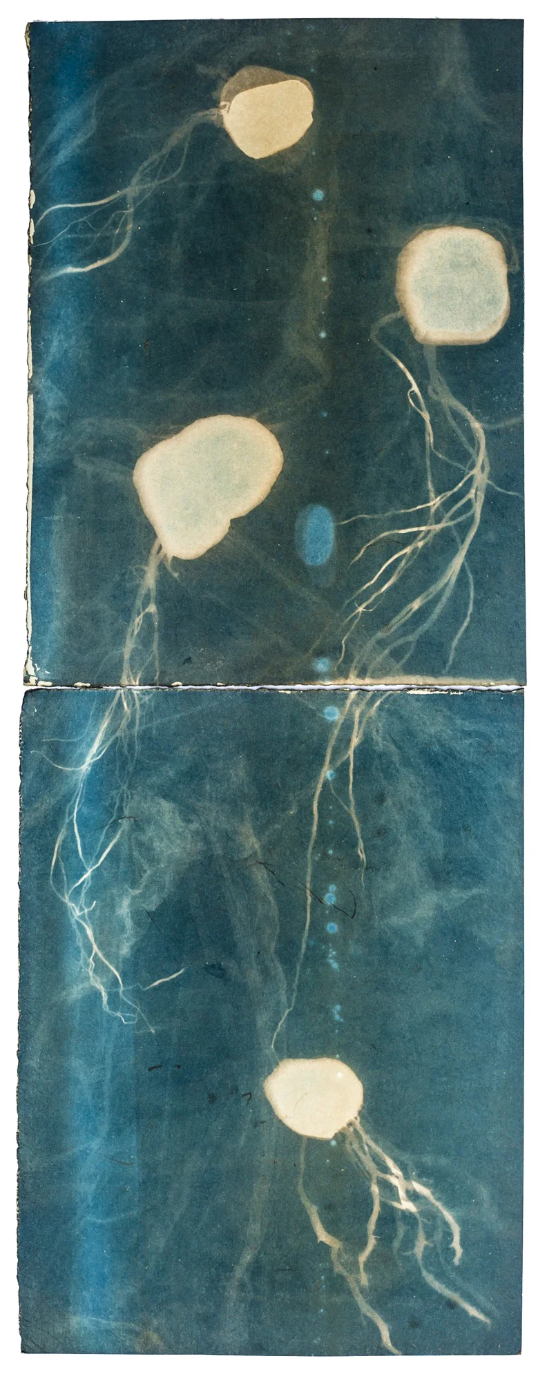 SG_20171231_005 copy.jpg