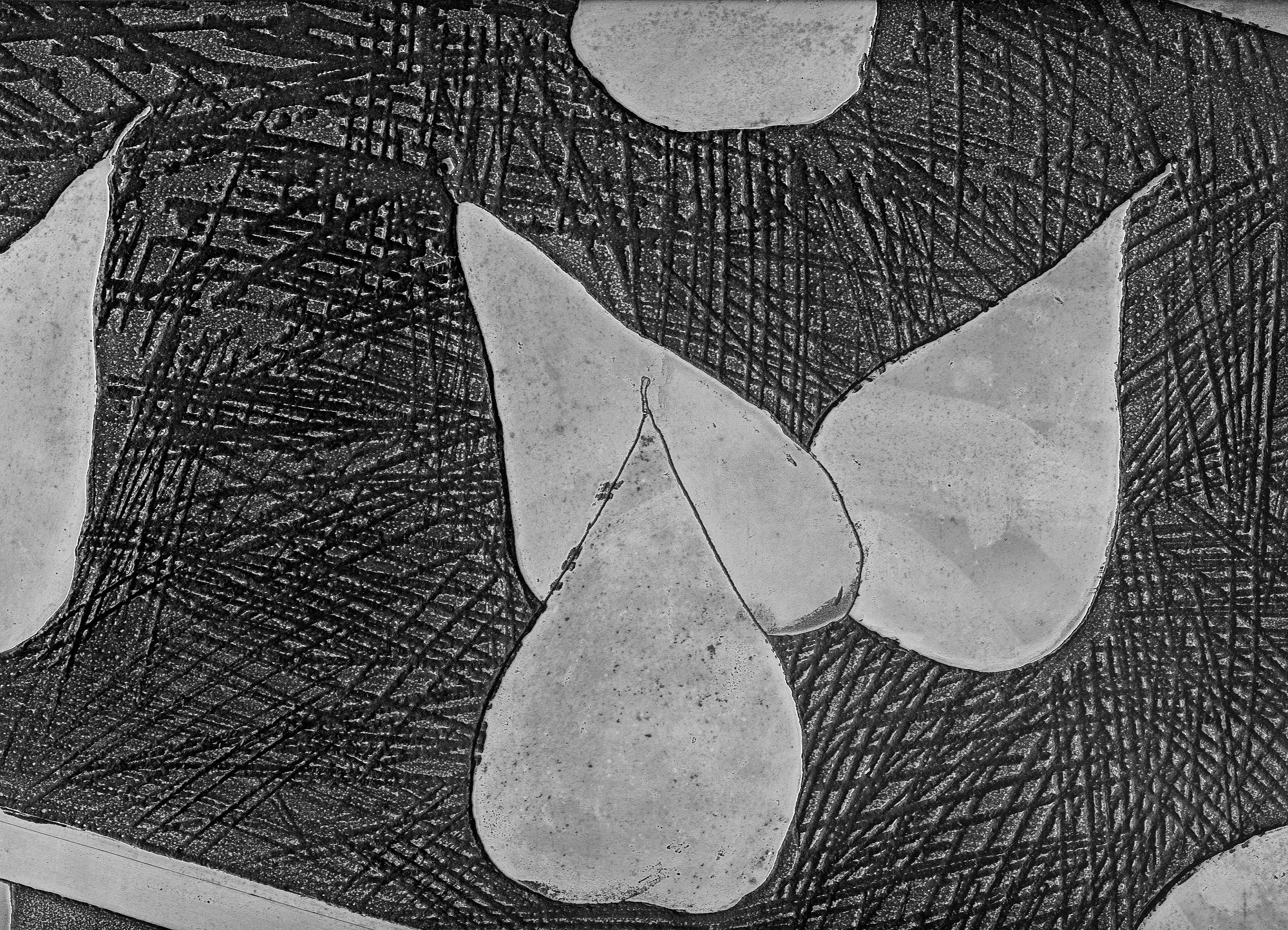 Etching - Monday Workshop with Barbie Kjar