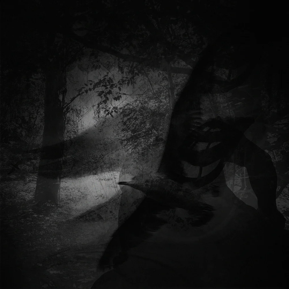 Keeping  in memory - Photogravure - 23.5 x 23.5 cm