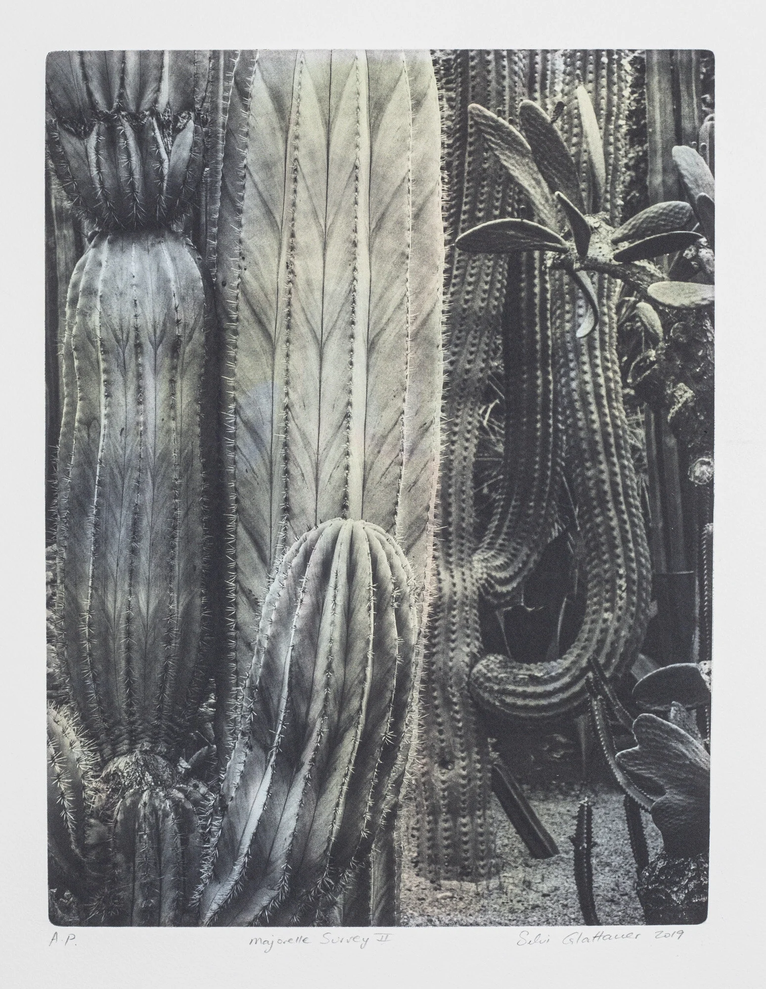 "Majorelle Survey II" Photogravure with pigment Inkjet colour. Plate size 42 x 30 Edition of 10