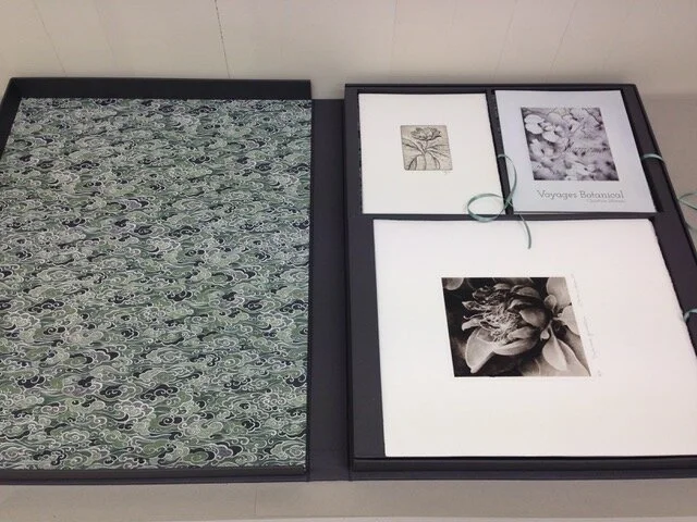 Voyages Botanical Artist Book and Portfolio