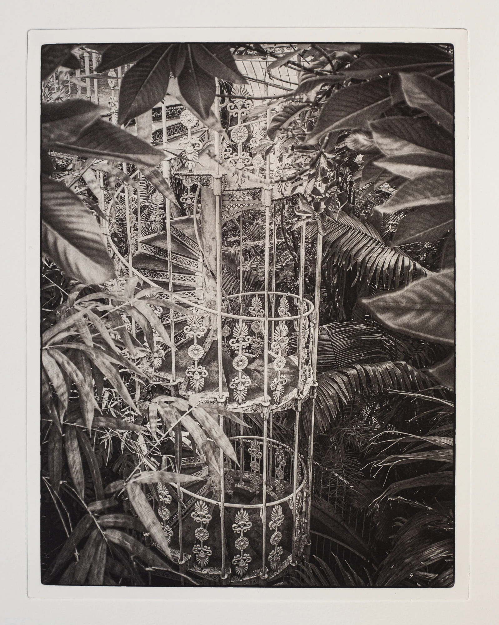 Photopolymer Photogravure - Week-end workshop