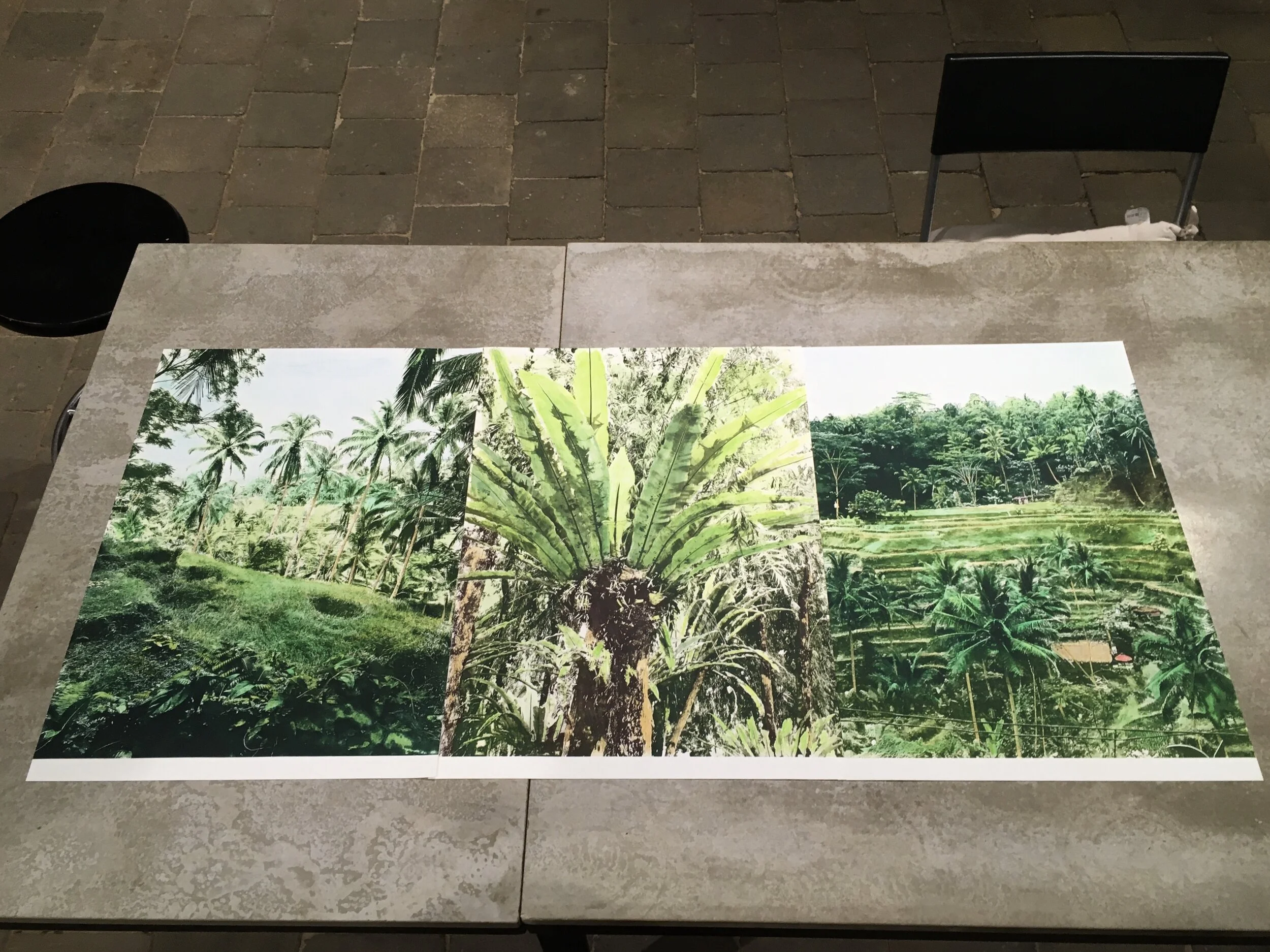 Photopolymer Photogravure with hand colour