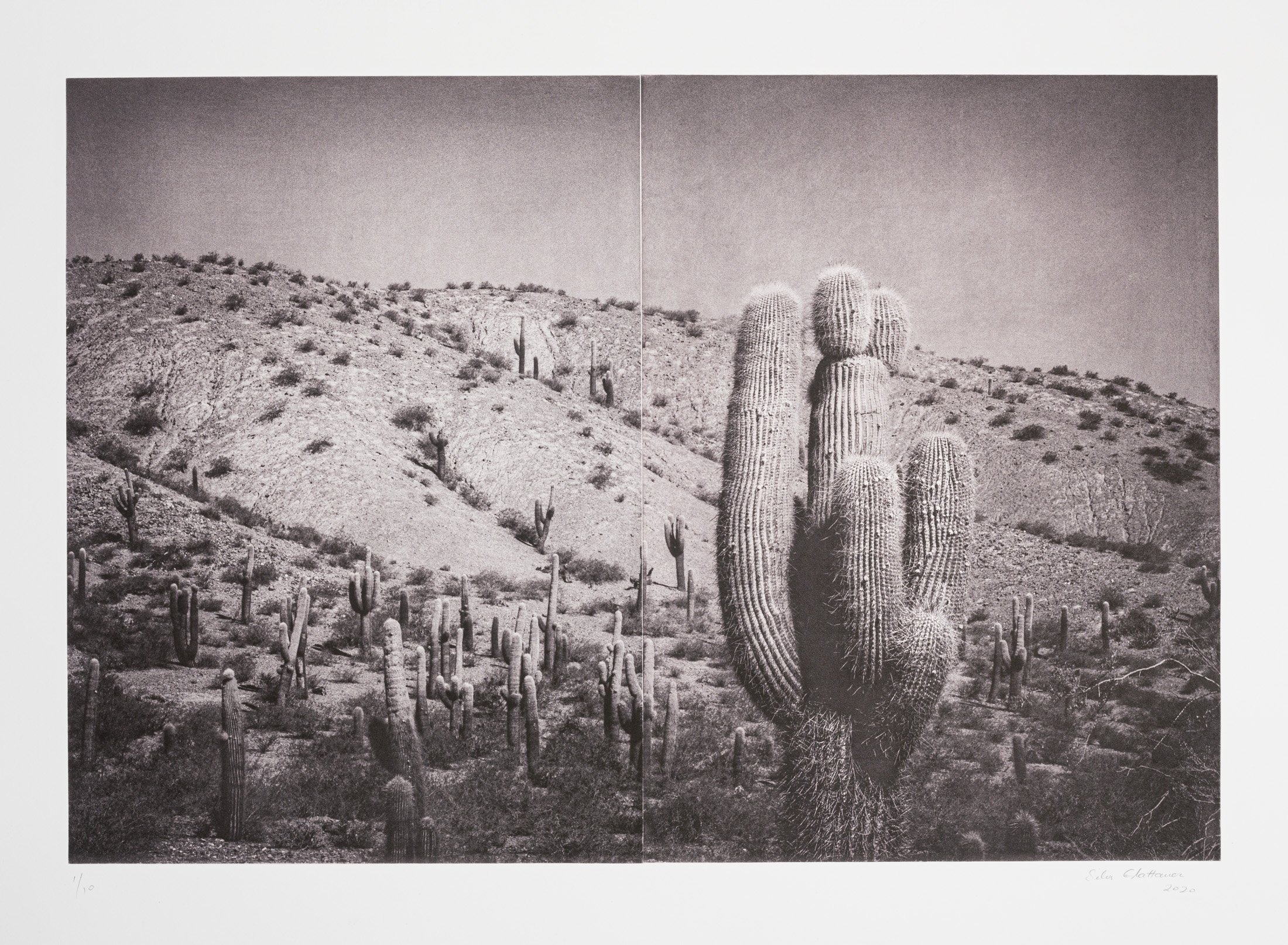 'In The Shade of A Cactus' 2 Plate Photogravure by Silvi Glattauer