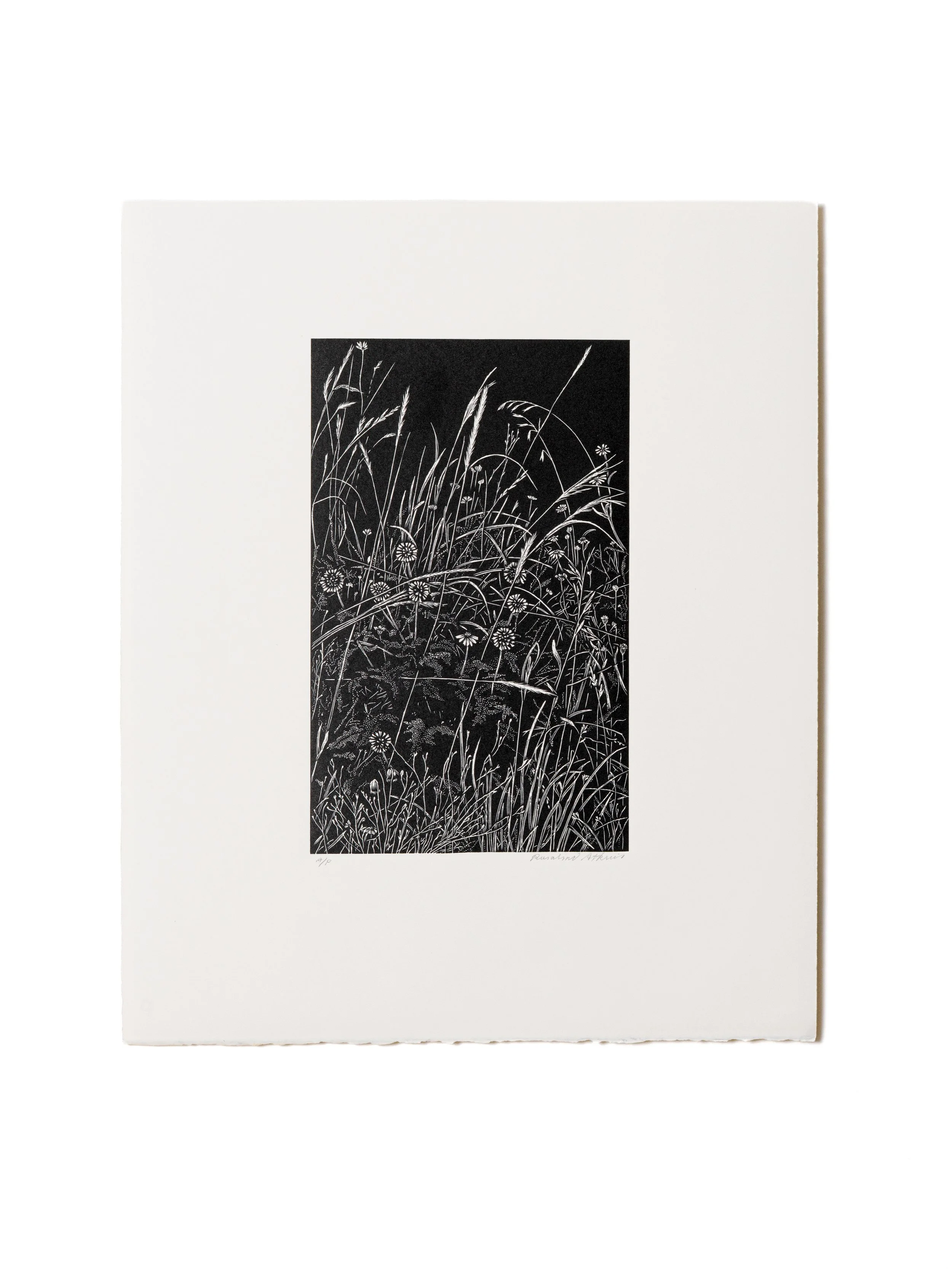 Rosalind Atkins – Rewilding
