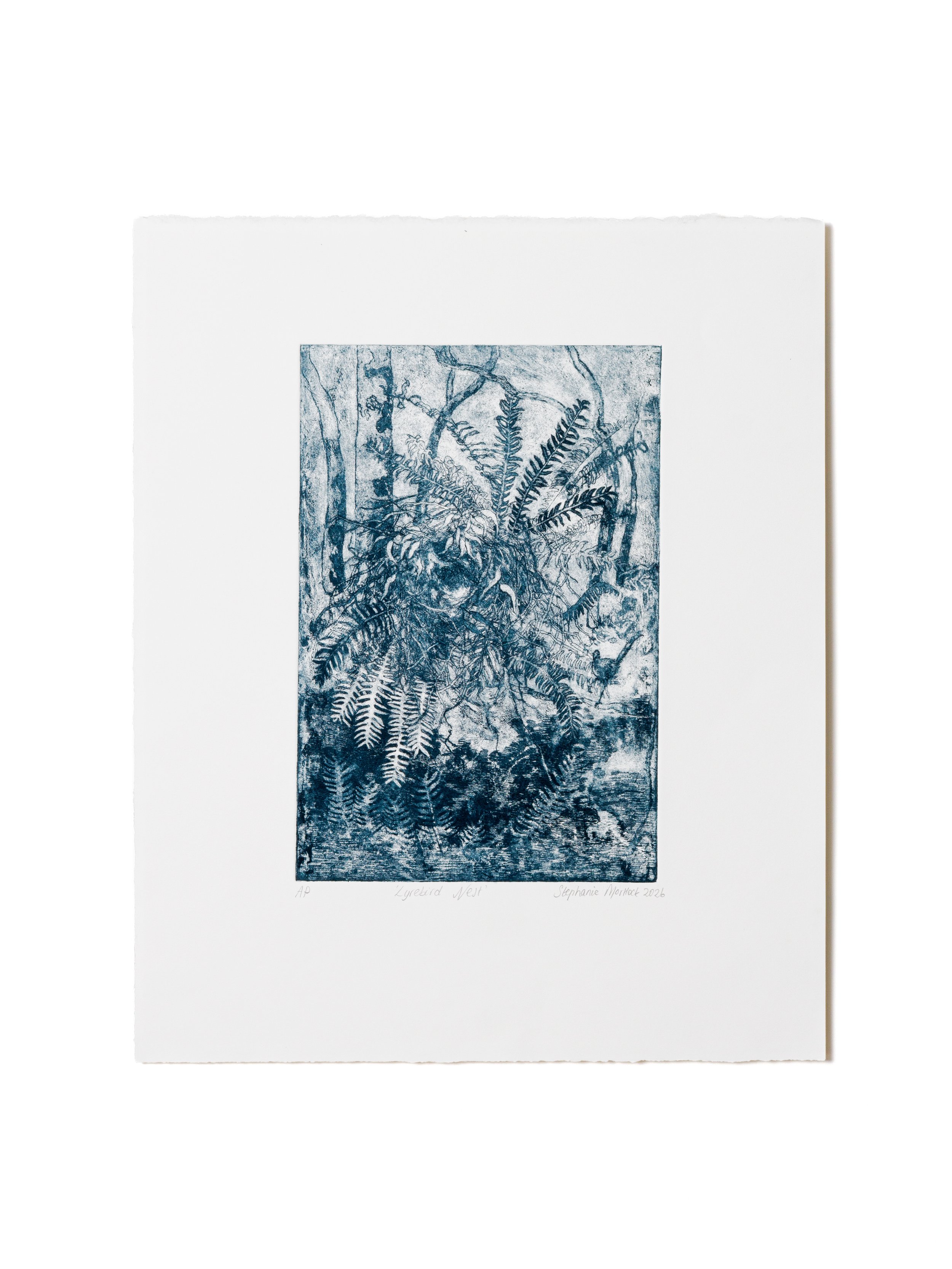 Stephanie Mortlock – Lyrebird Nest