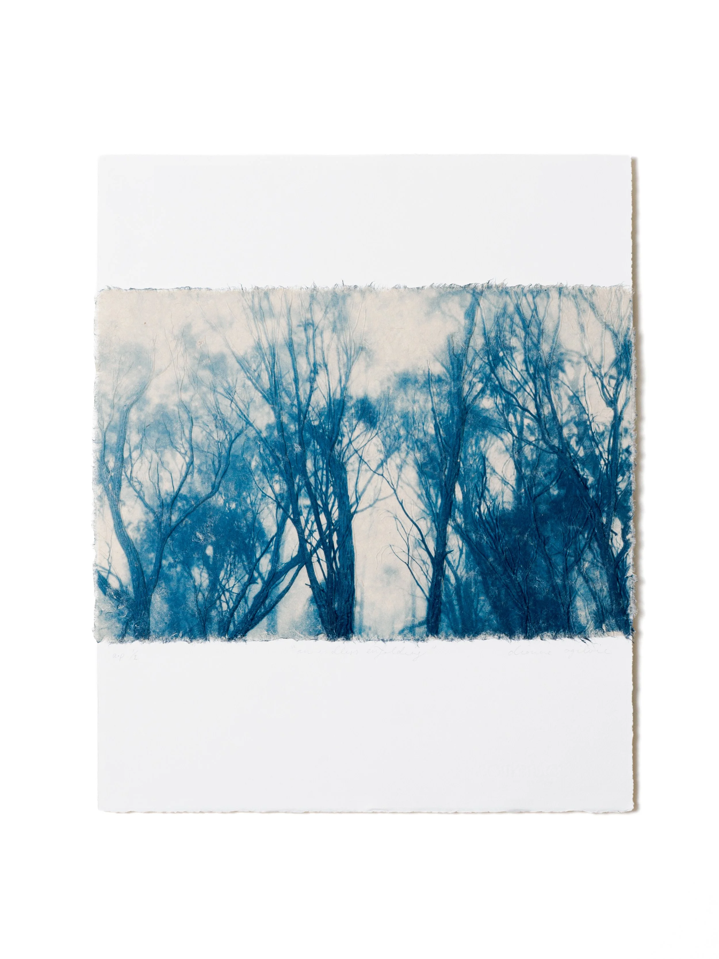 Dionne Ogilvie – An endless enfolding
