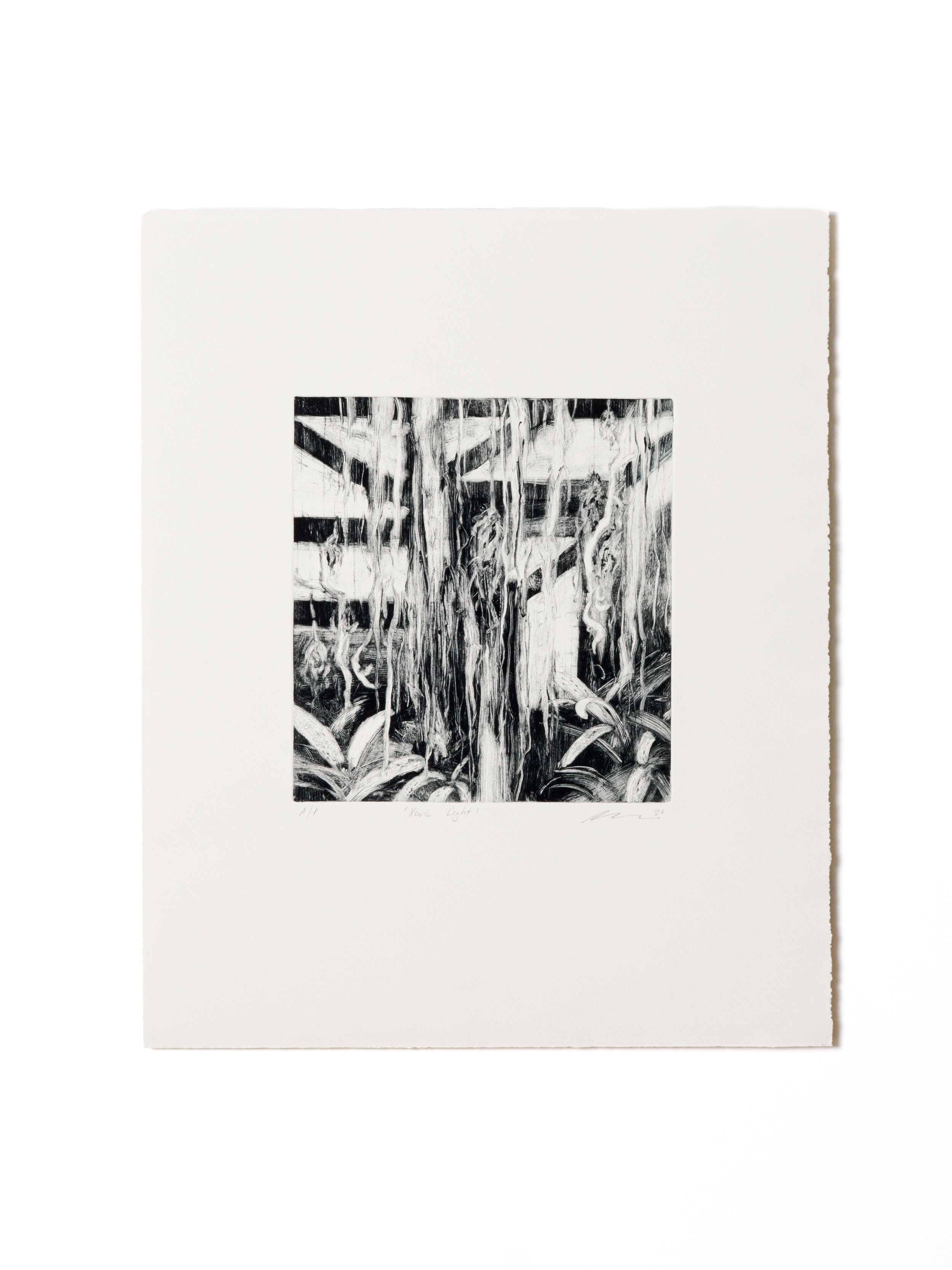 Nicole Bowller – Xeric light