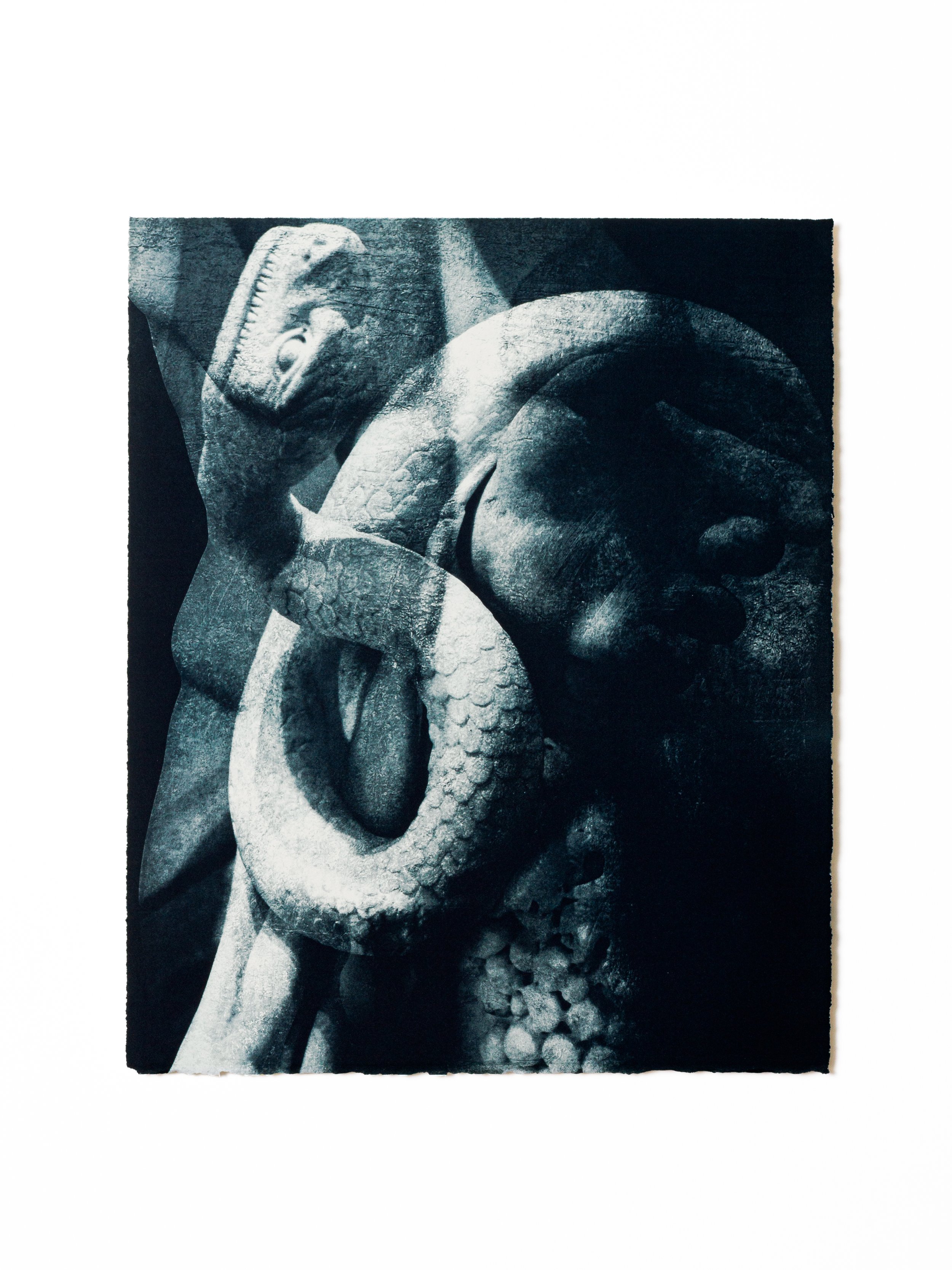 Marcus O'Donnell – Out of the garden